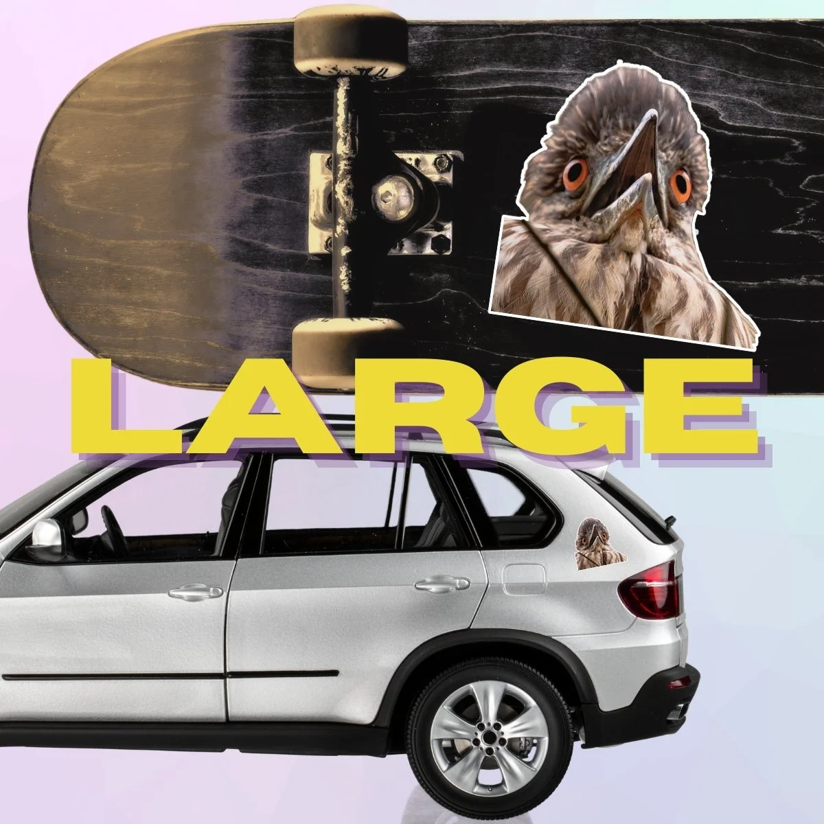 Large Single (4).jpg