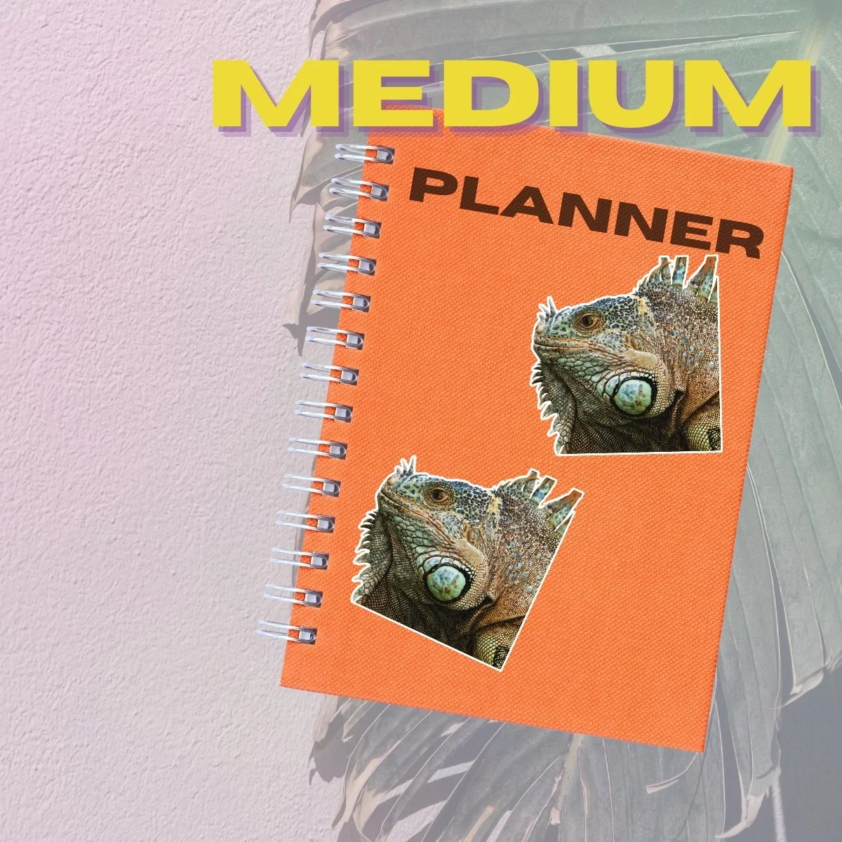 Medium Single (4).jpg