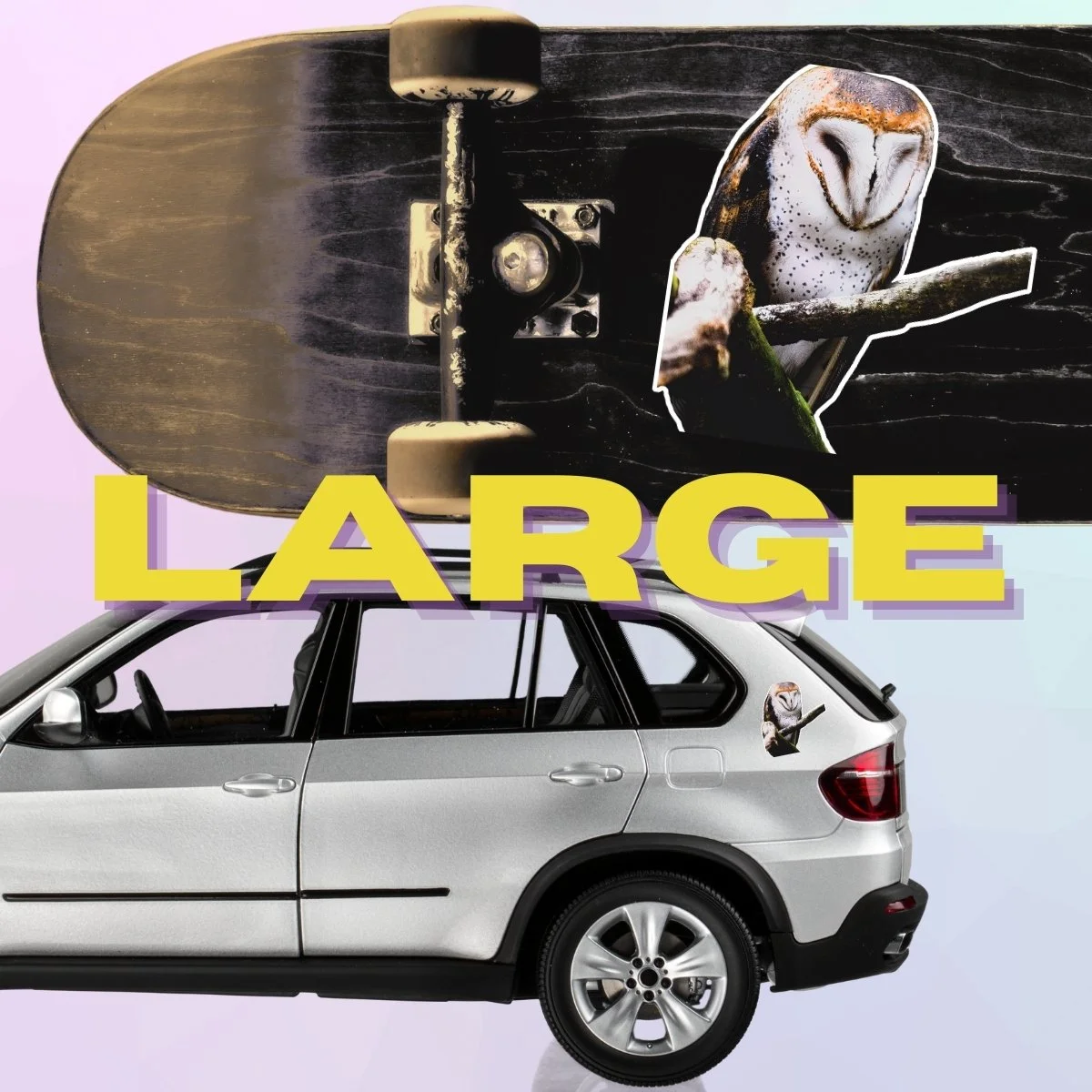 Large Single (3).jpg