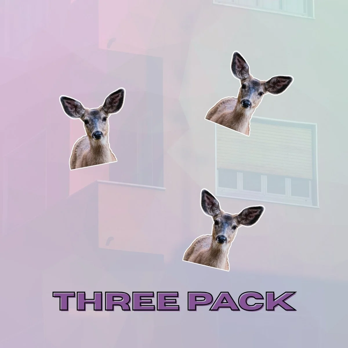 Small 3Pk.jpg