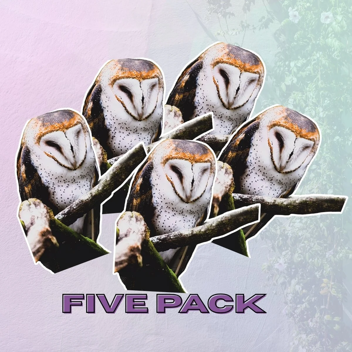 Medium 5PK (3).jpg