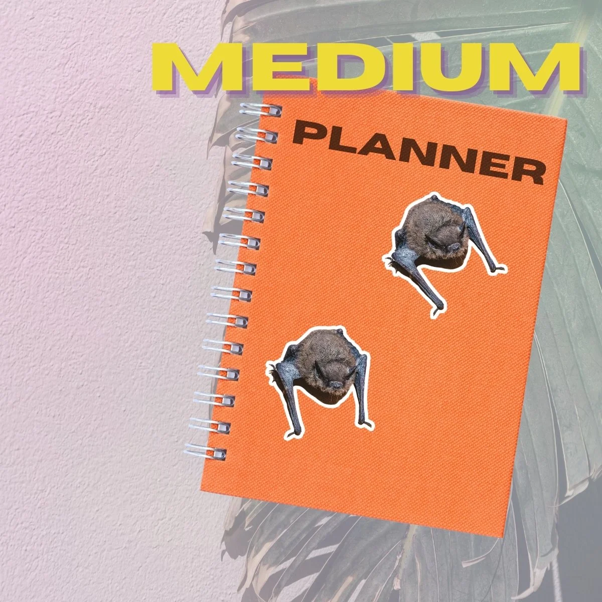 Medium Single (2).jpg