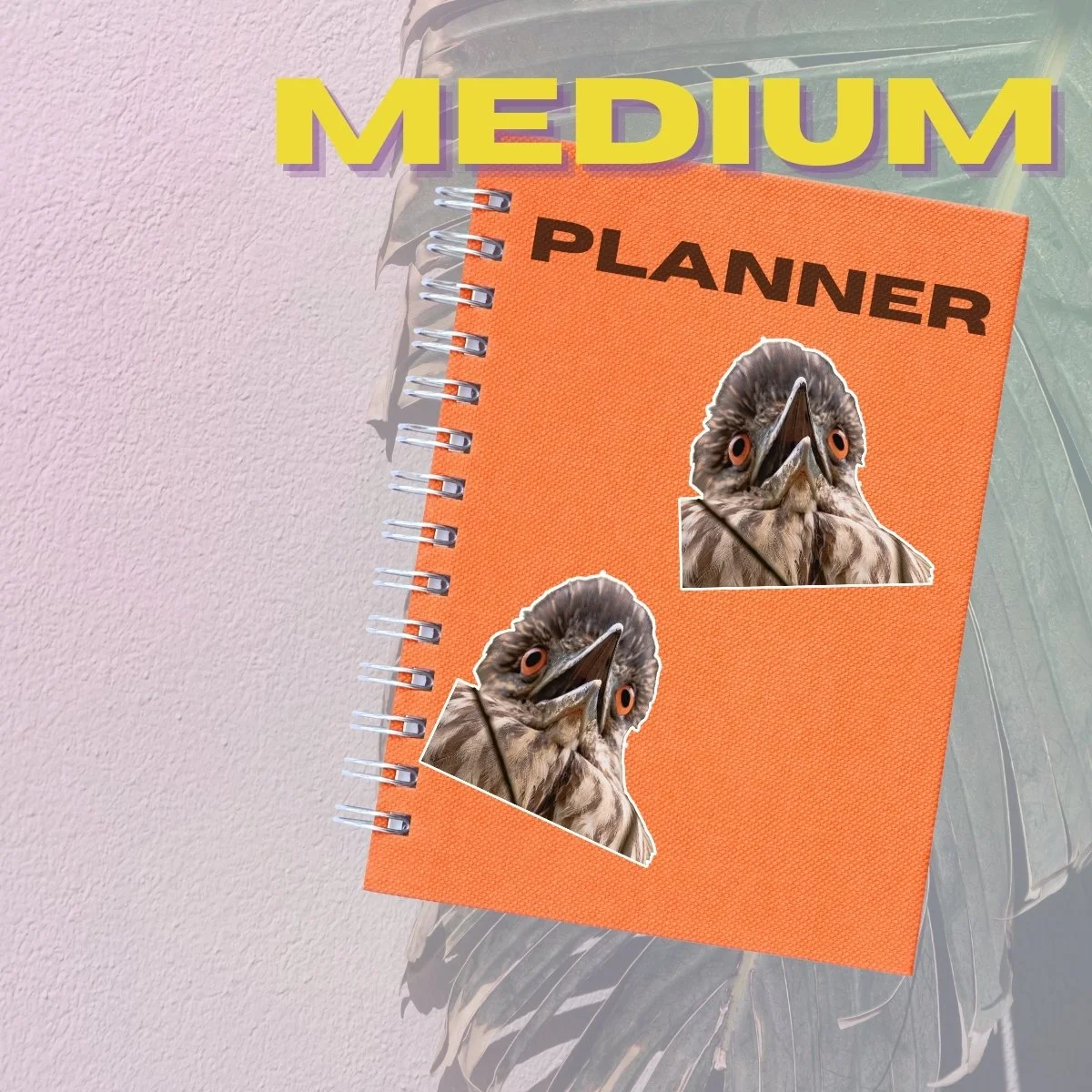 Medium Single (4).jpg