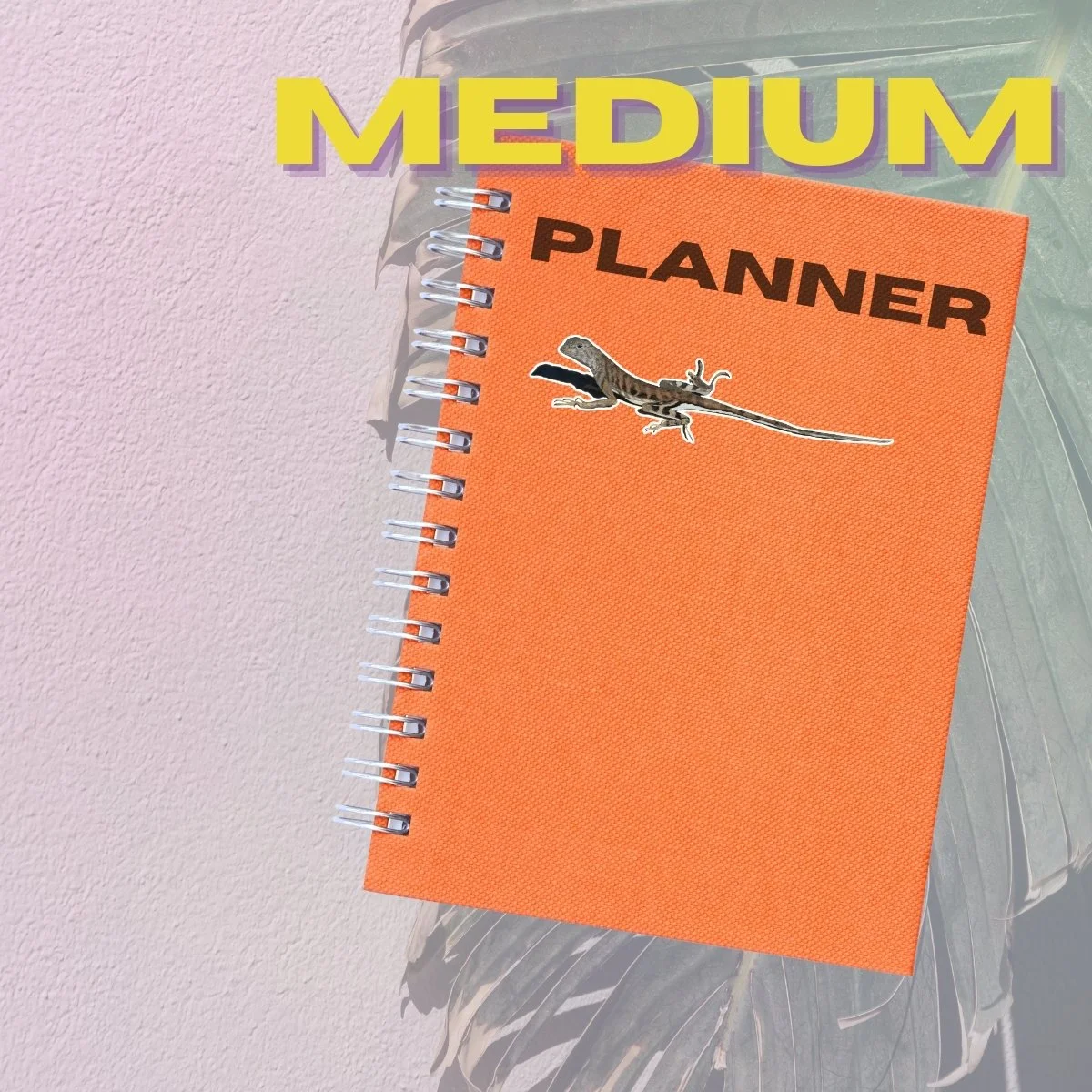 Medium Single (5).jpg