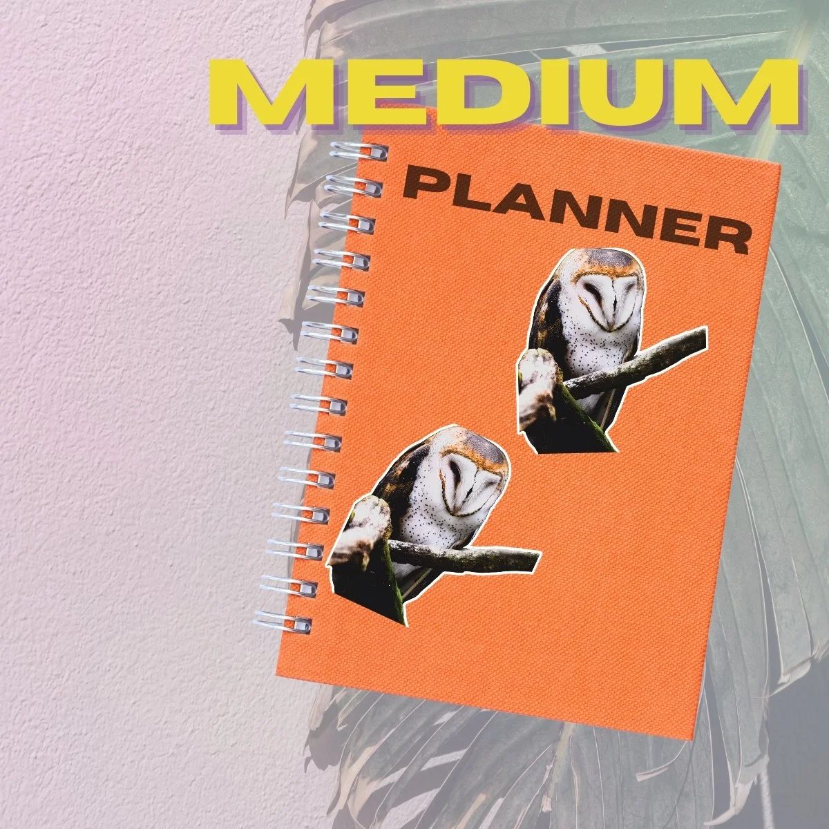 Medium Single (3).jpg