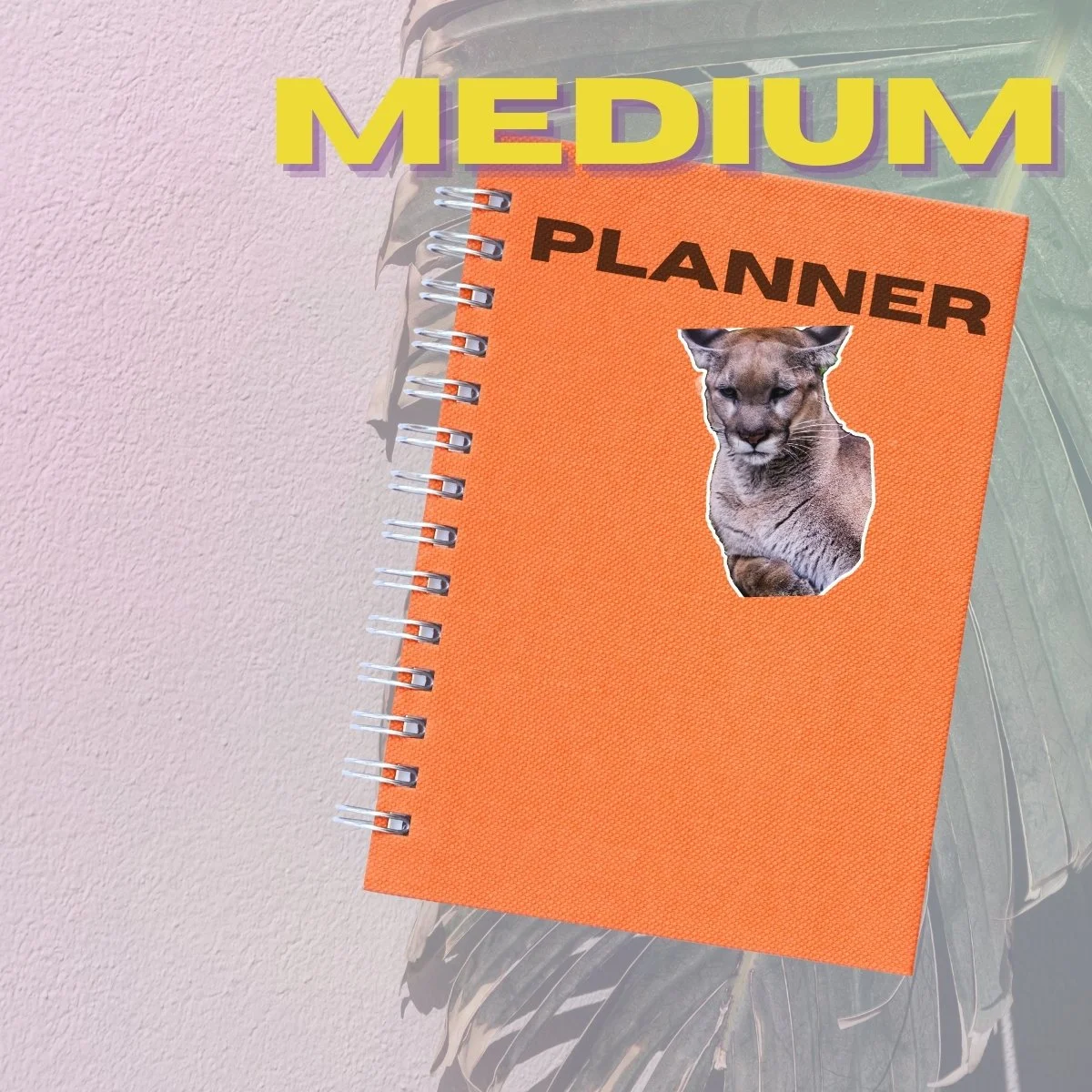 Medium Single (3).jpg