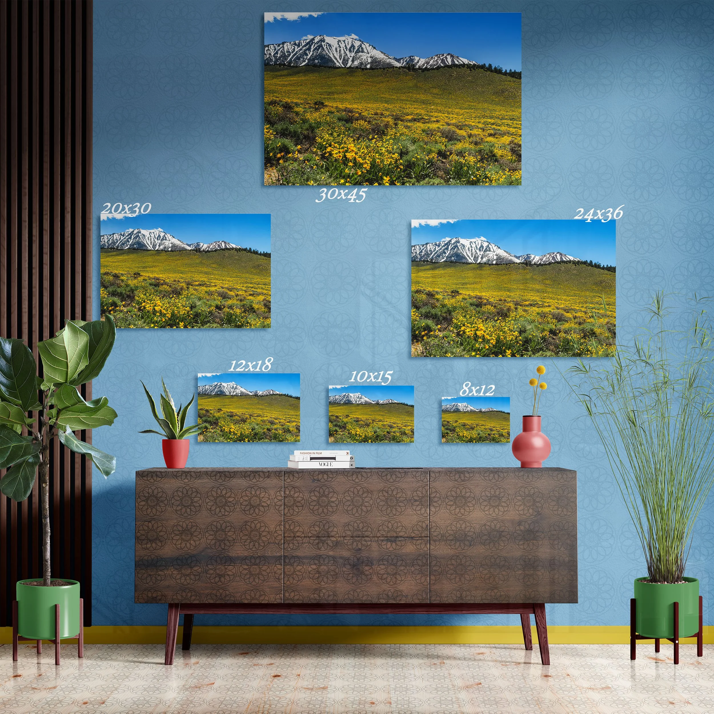 Golden Yellow Meadow Hill with Snow Covered Peaks - Fine Art Print