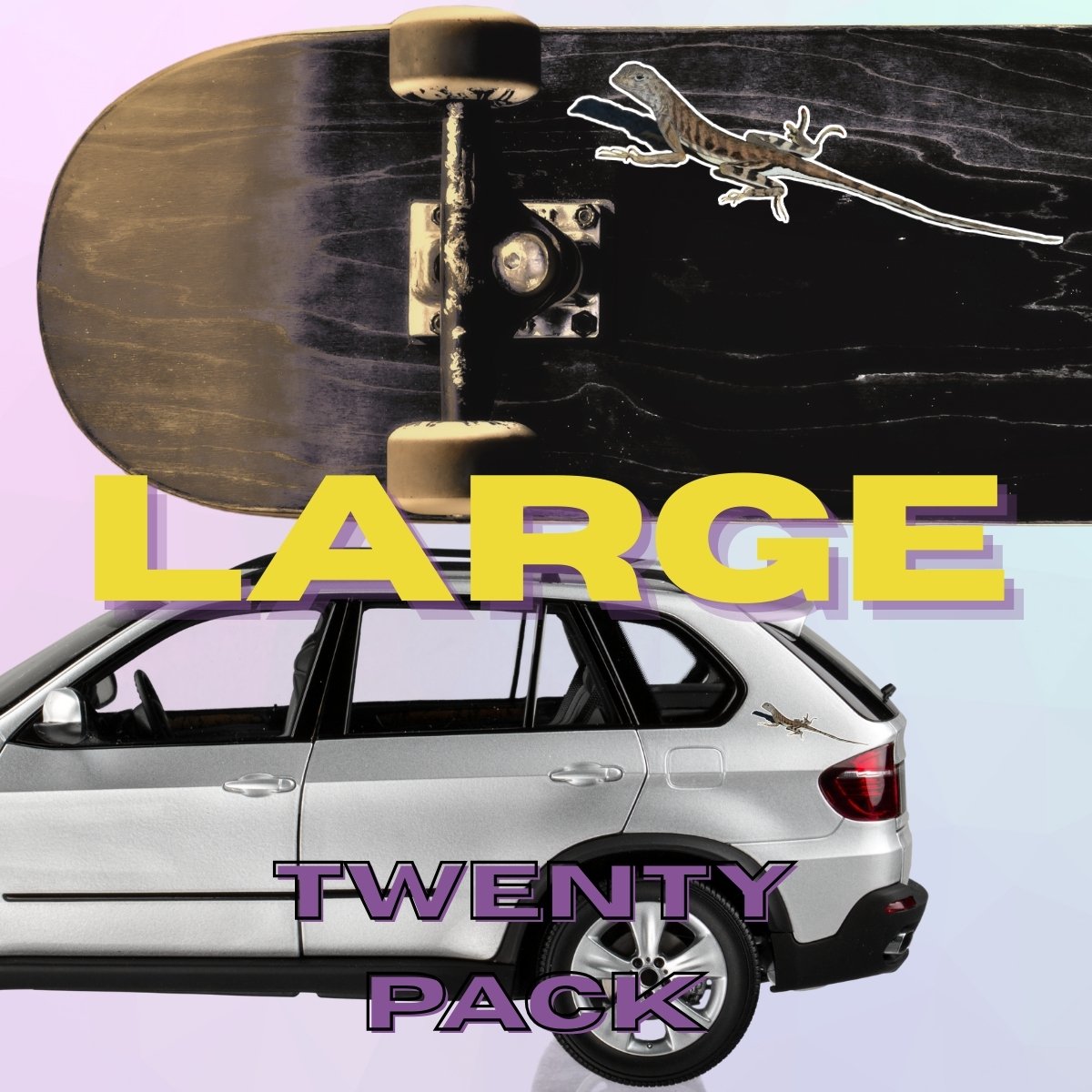 Large Single (5).jpg