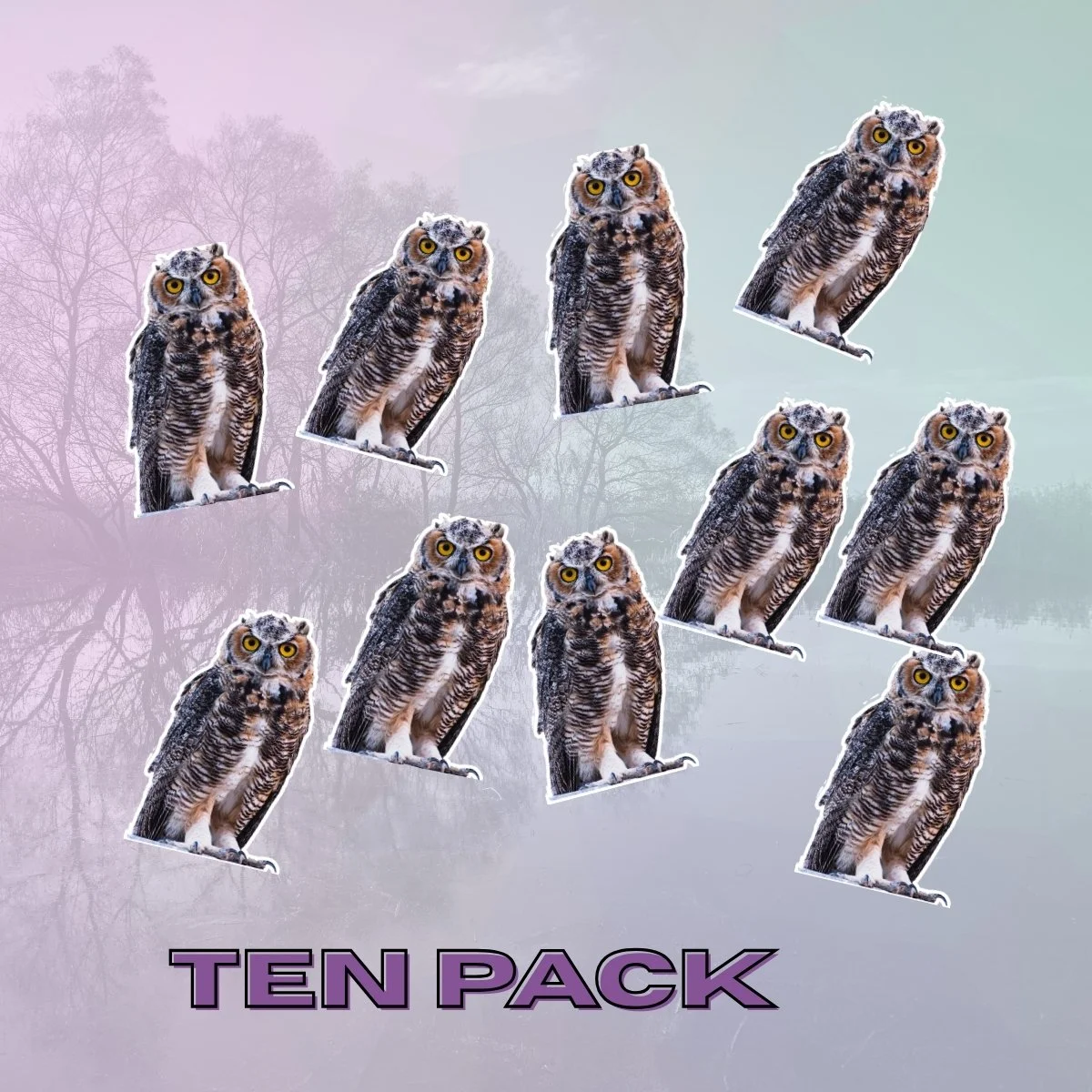 Small 10Pk.jpg