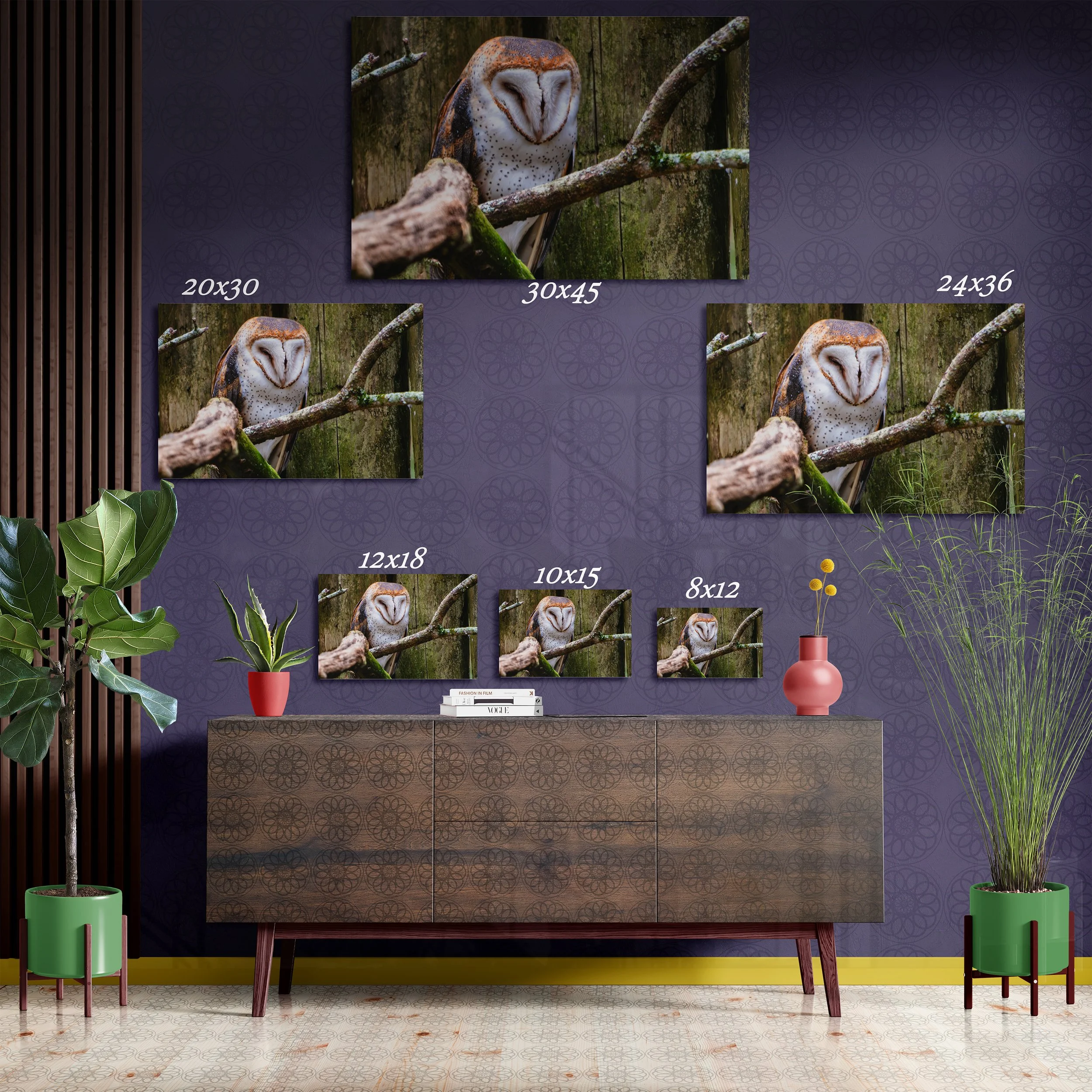 Perched Bard Owl - Fine Art Print