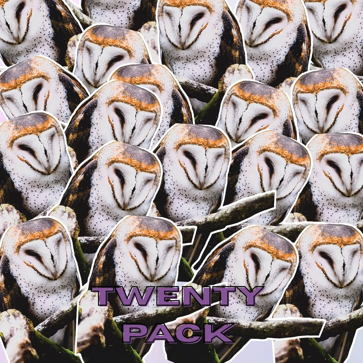 Medium 20PK (3).jpg