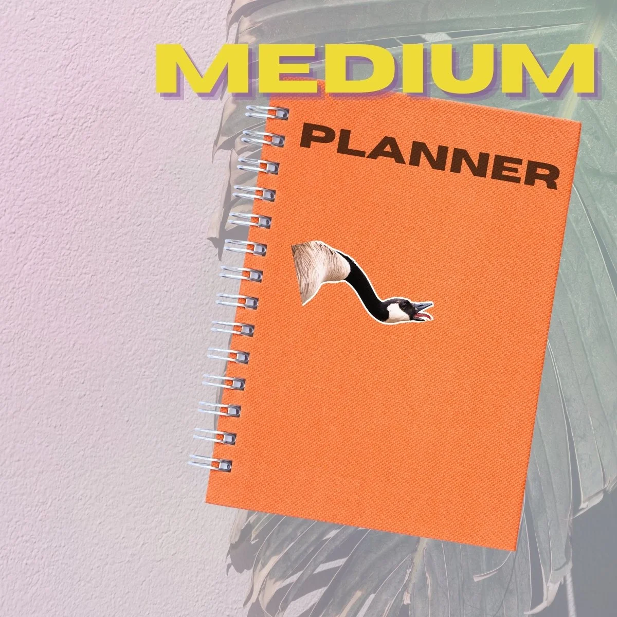 Medium Single (3).jpg