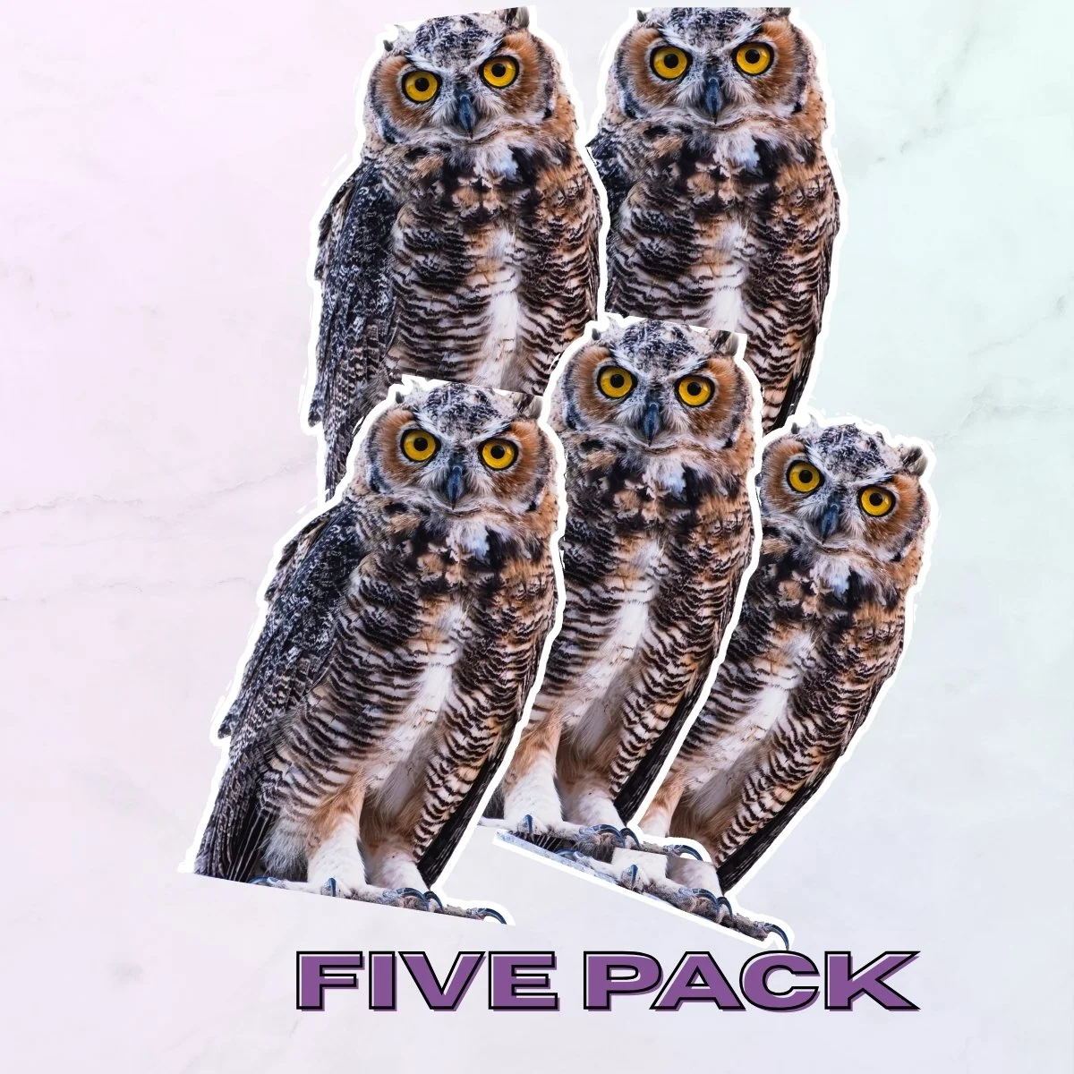 Large 5Pk.jpg