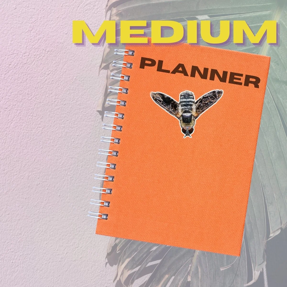 Medium Single (4).jpg