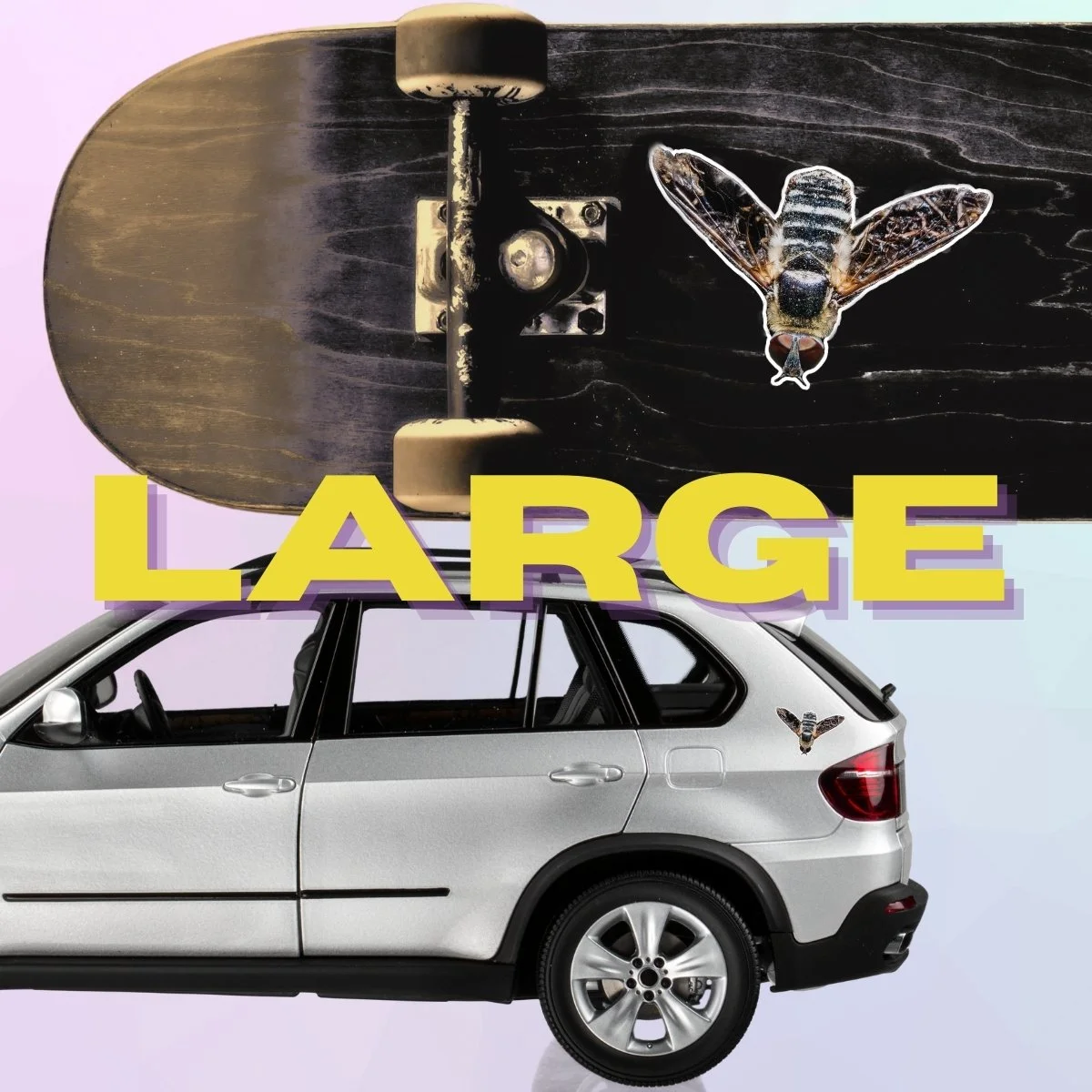 Large Single (4).jpg