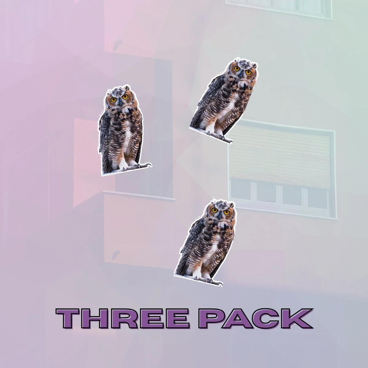 Small 3Pk.jpg