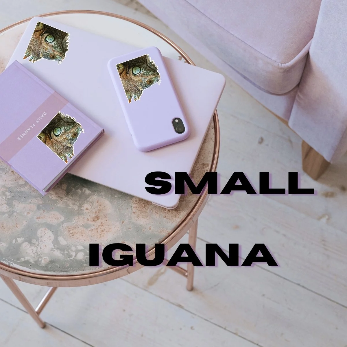 Small Single (4).jpg