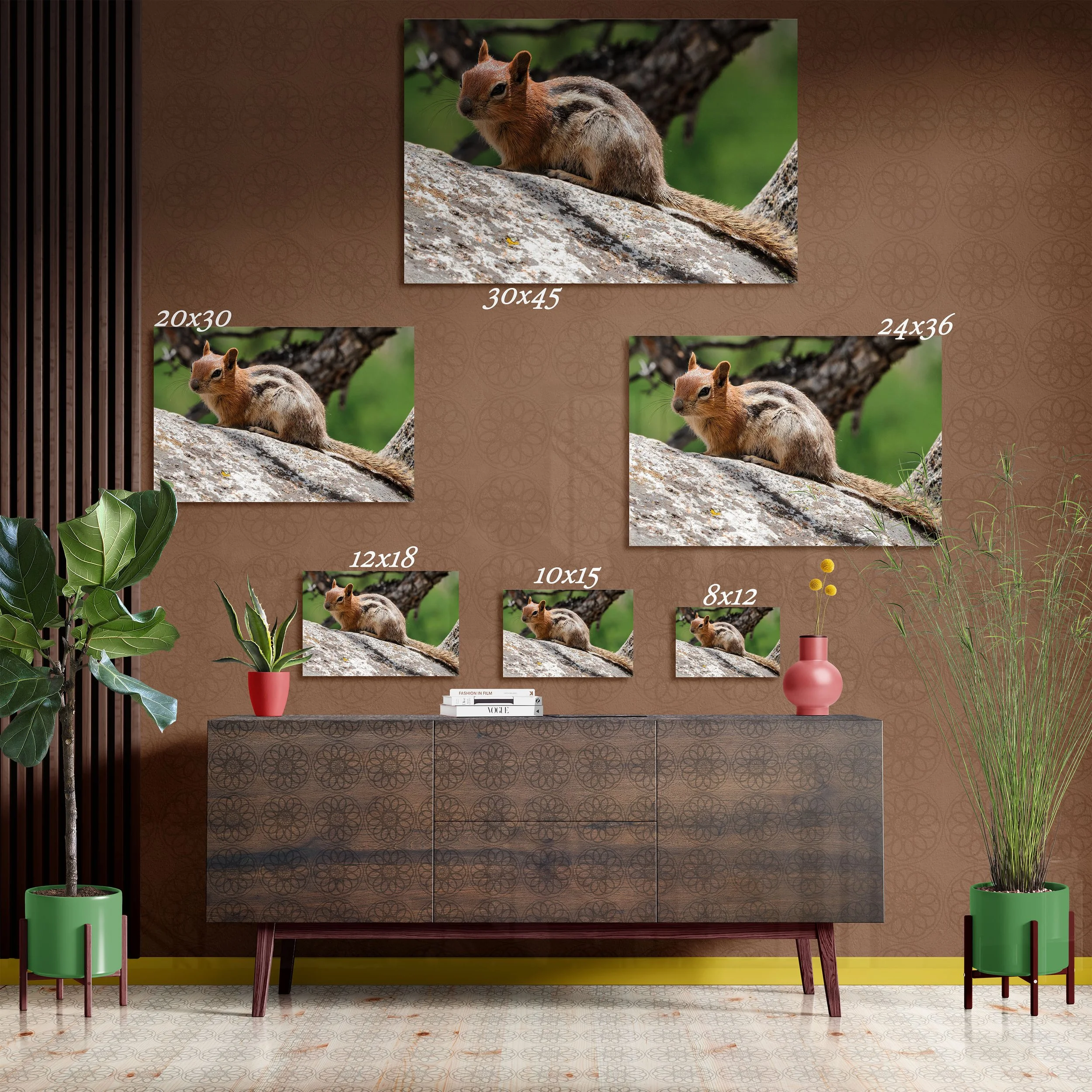 Golden-Mantled Ground Squirrel - Fine Art Print