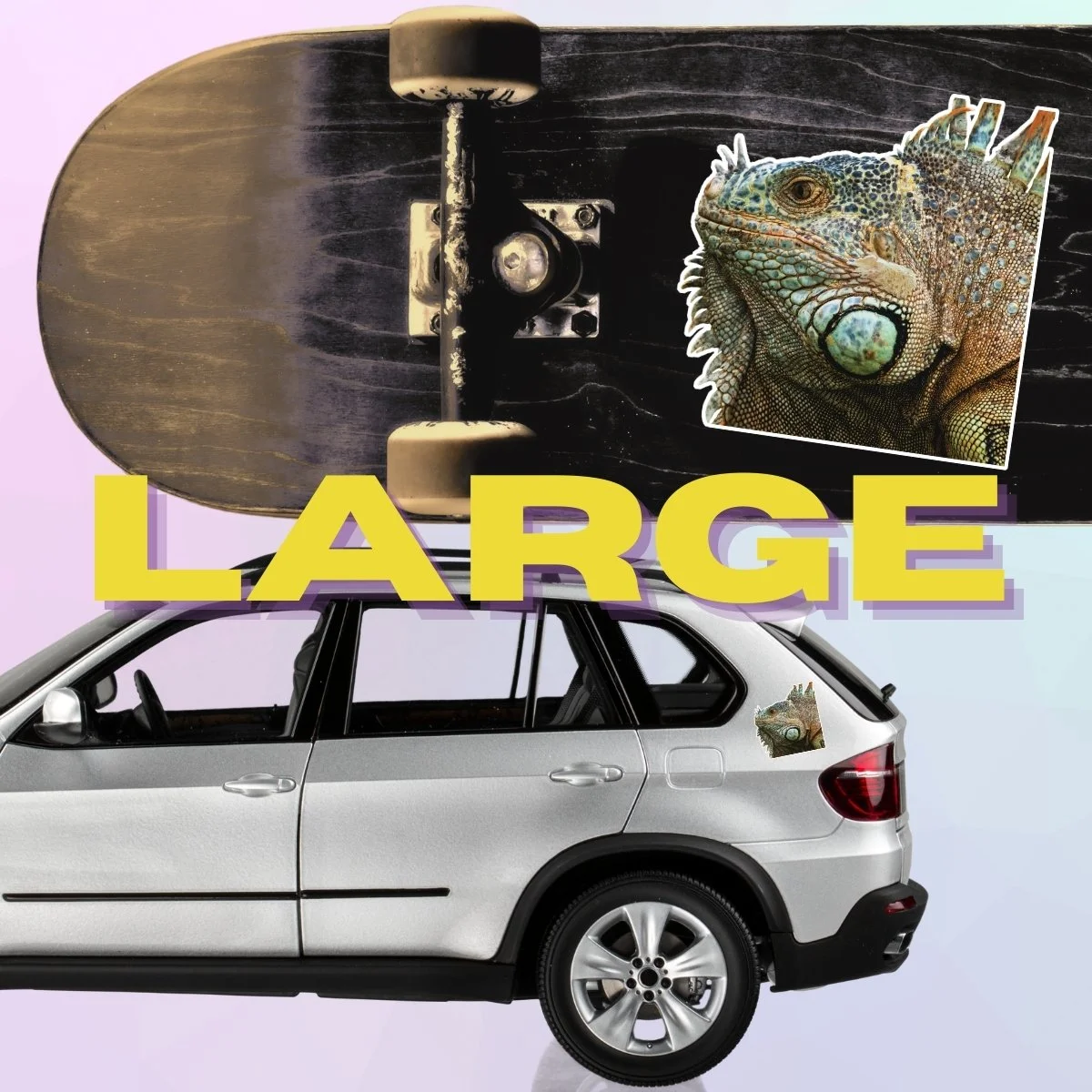 Large Single (4).jpg