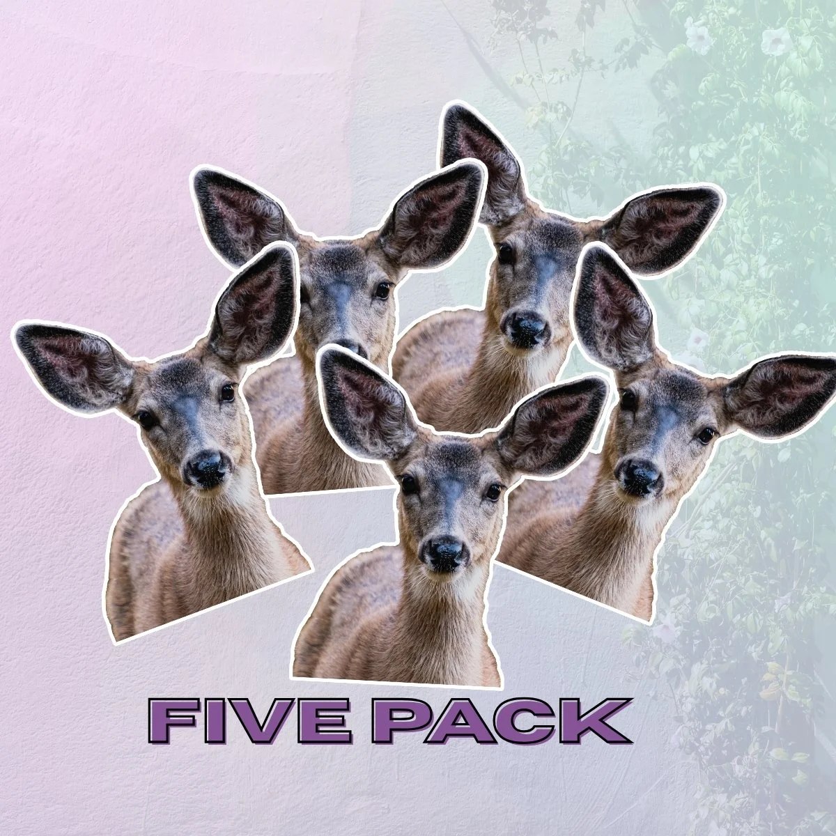 Medium 5PK.jpg