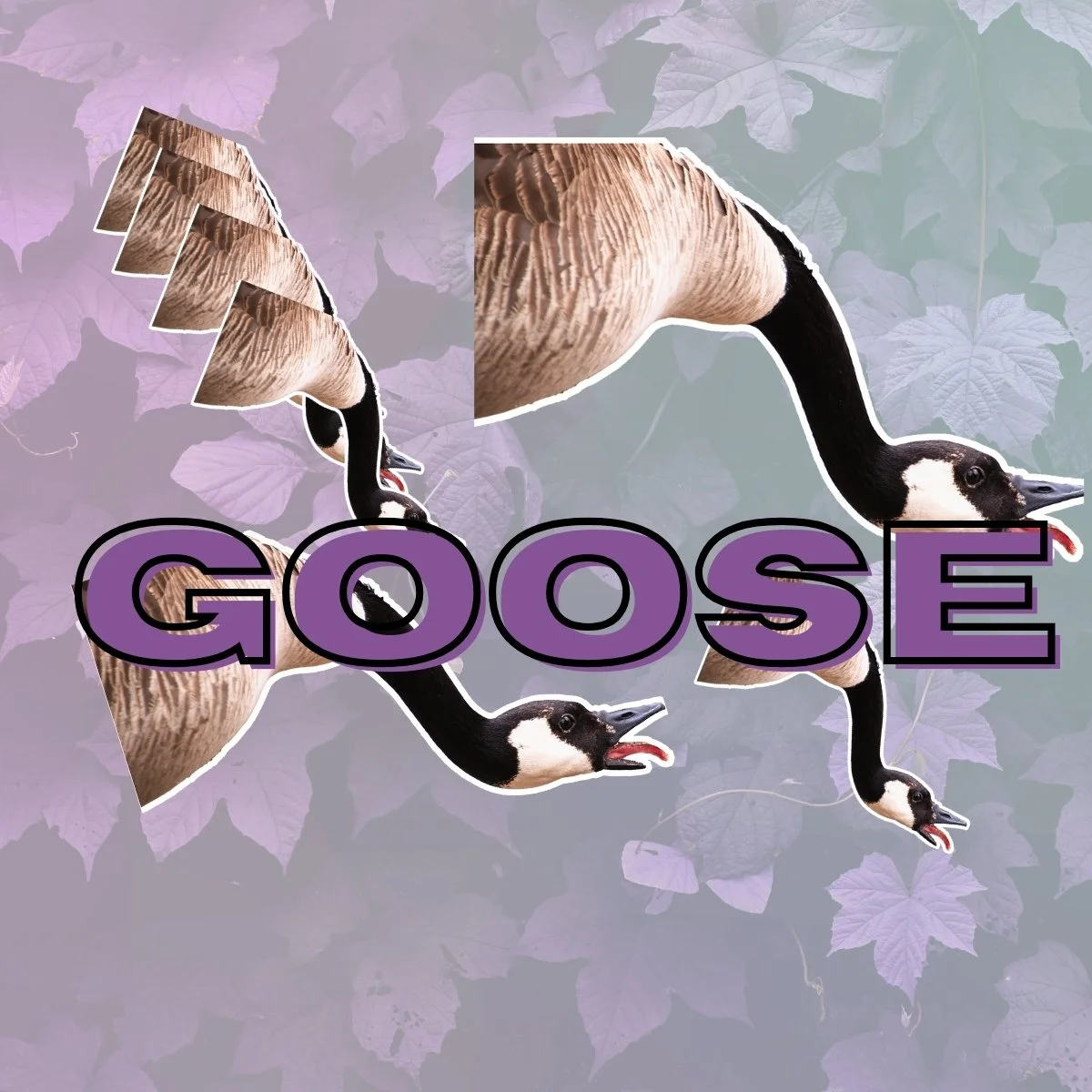 Goose! Stickers