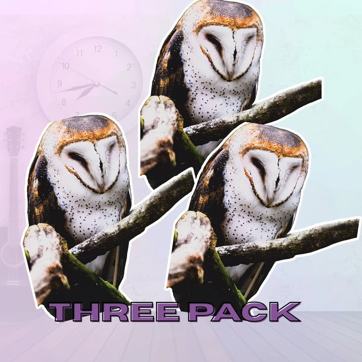 Large 3pk (3).jpg