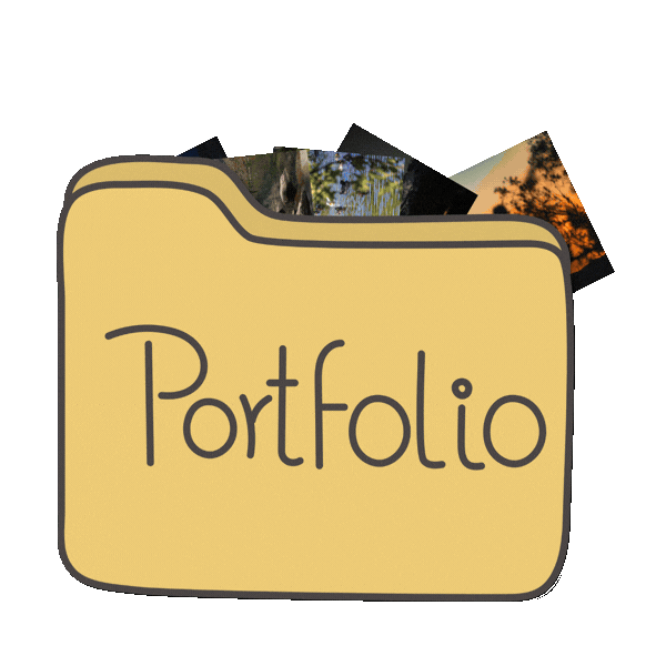 Portfolio Folder with images jumping out.