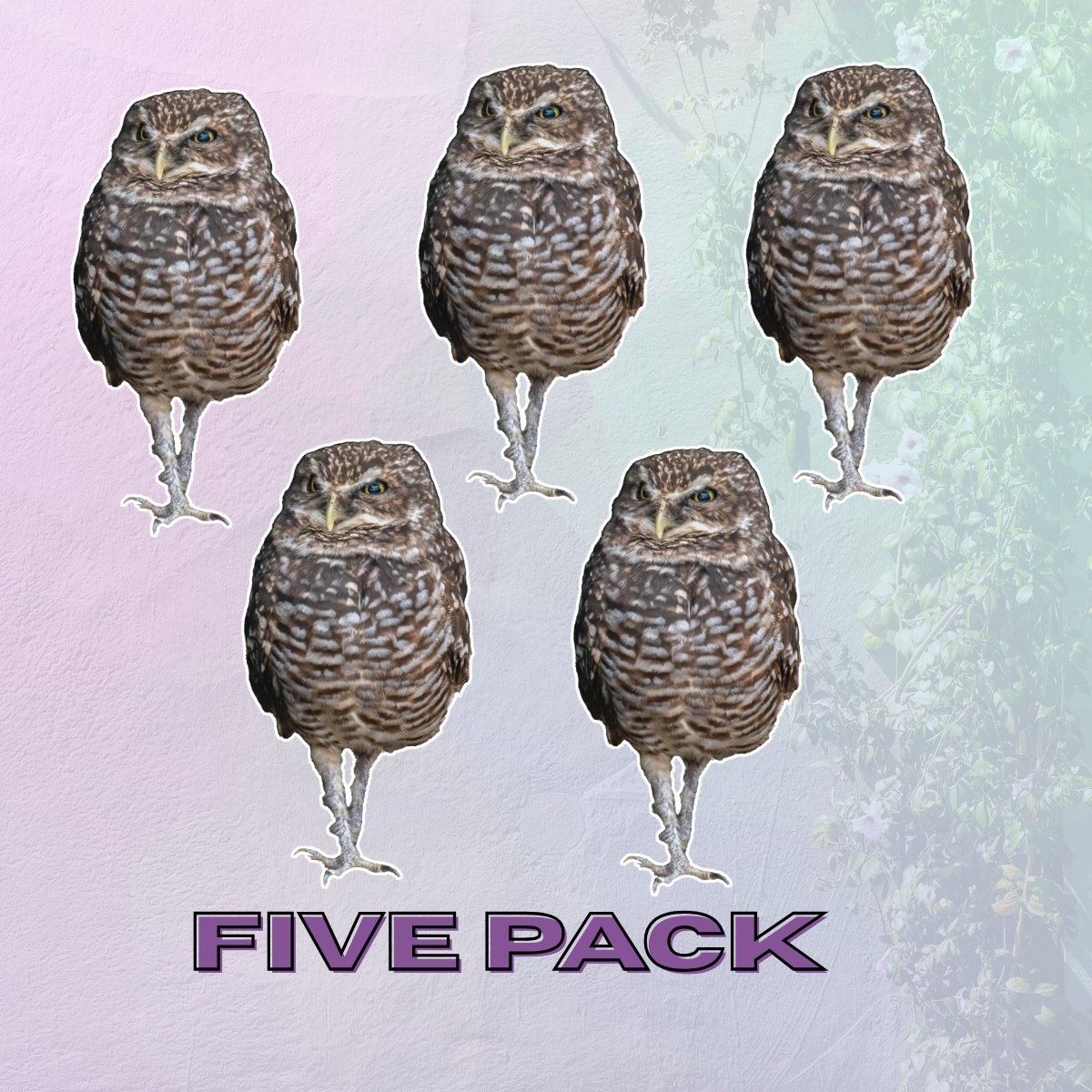 Medium 5PK (2).jpg