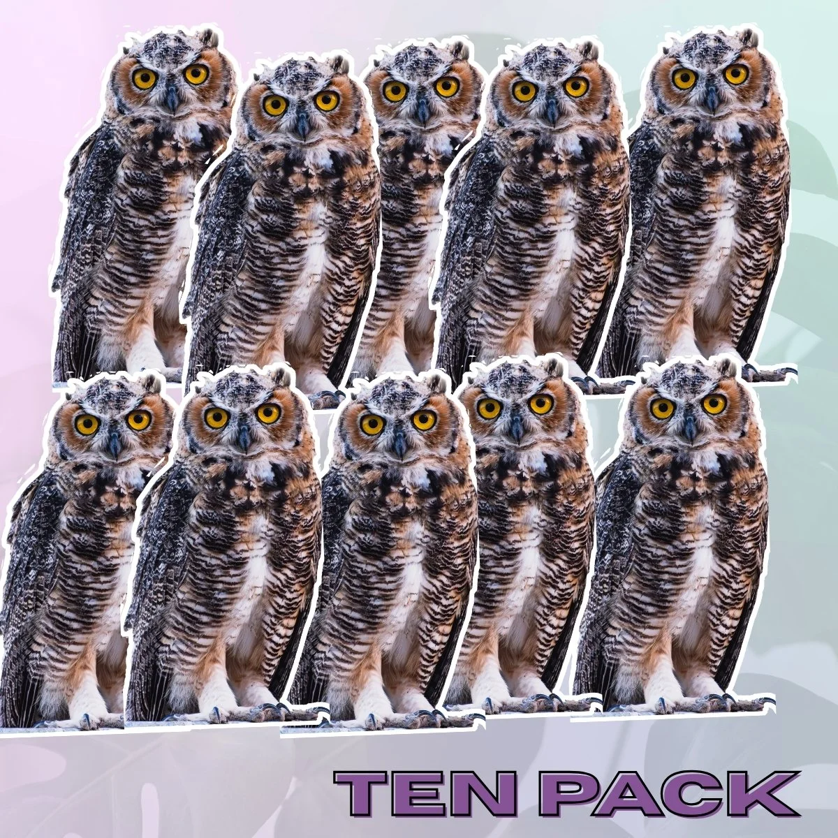 Medium 10PK.jpg