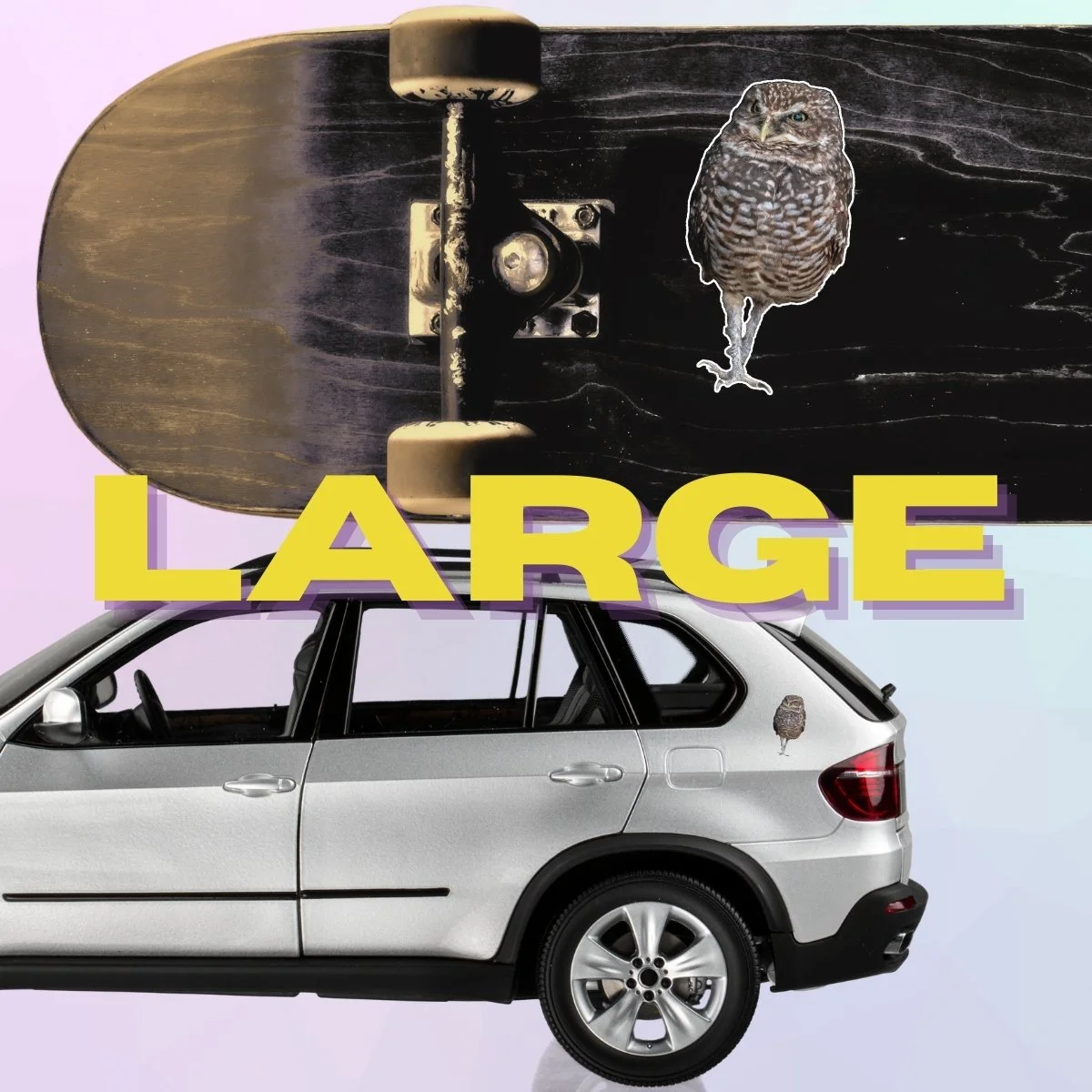 Large Single (2).jpg