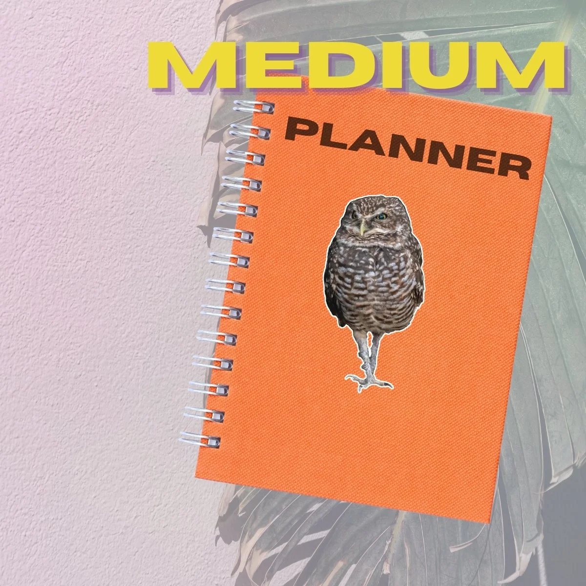 Medium Single (2).jpg