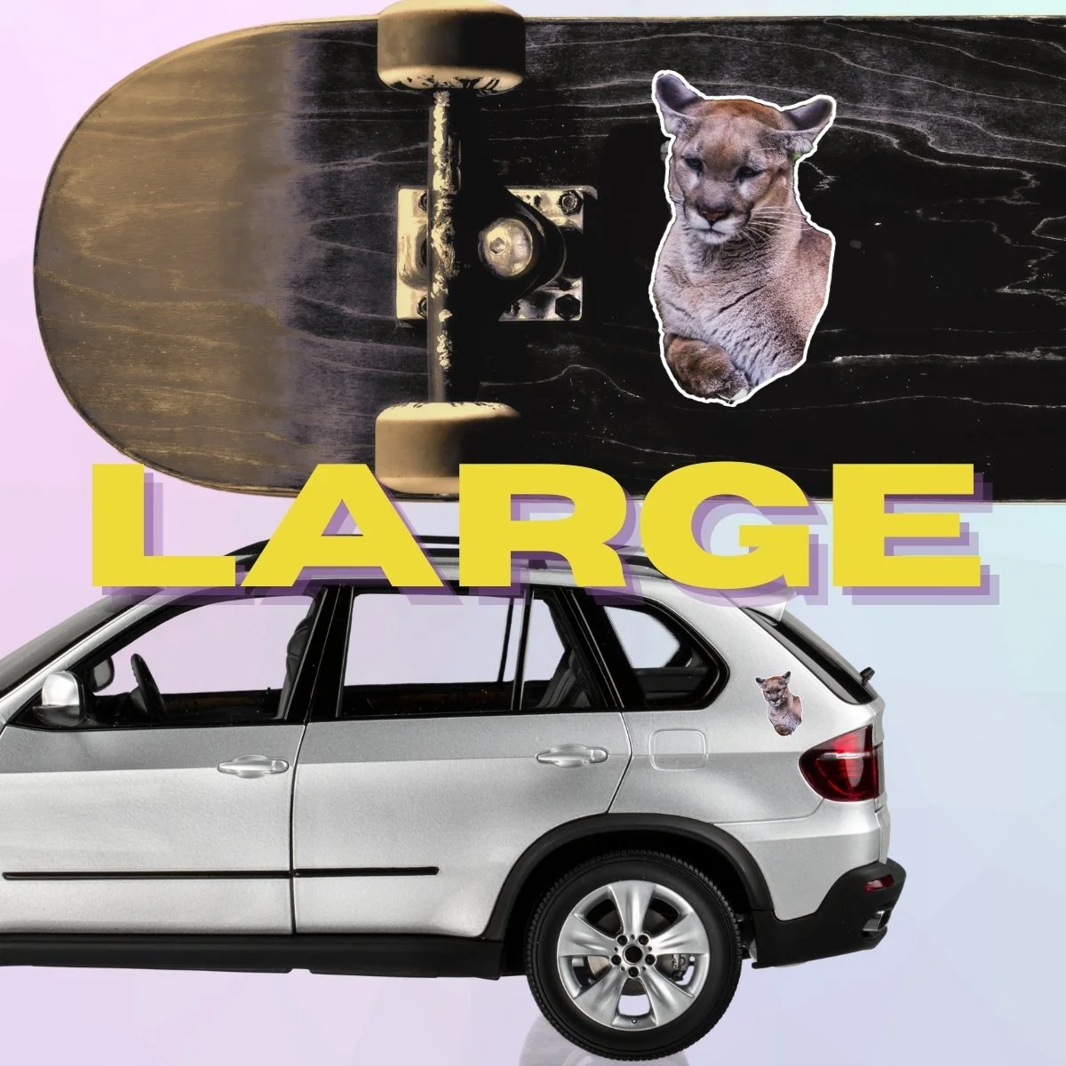 Large Single (3).jpg