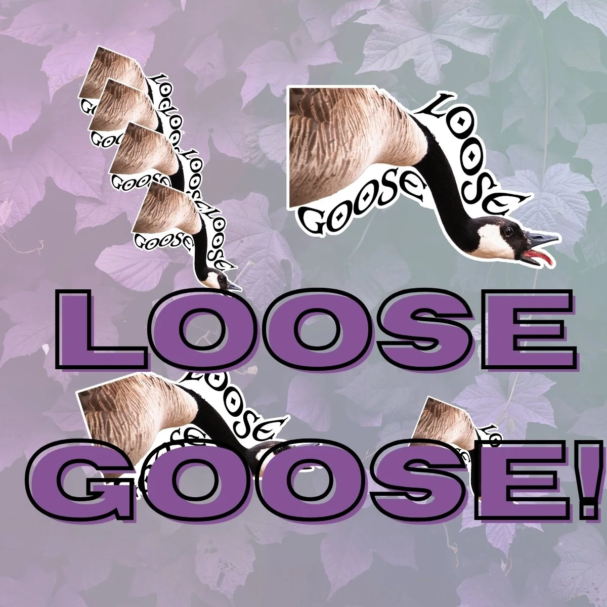 Loose Goose! Stickers