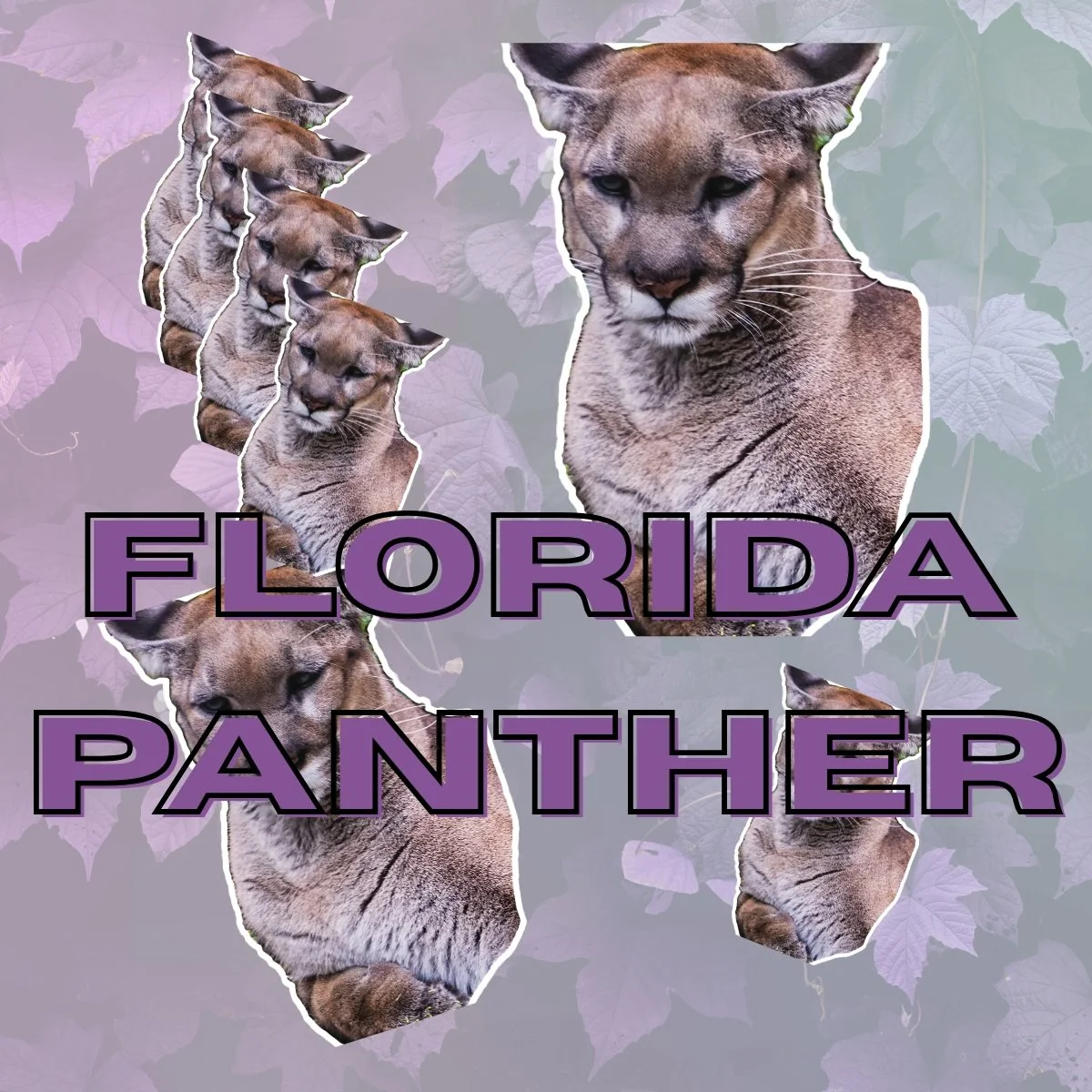 Florida Panther Stickers