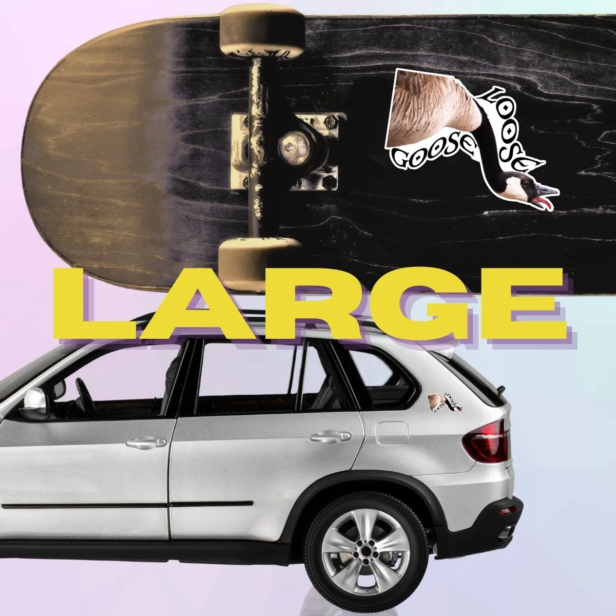 Large Single (2).jpg