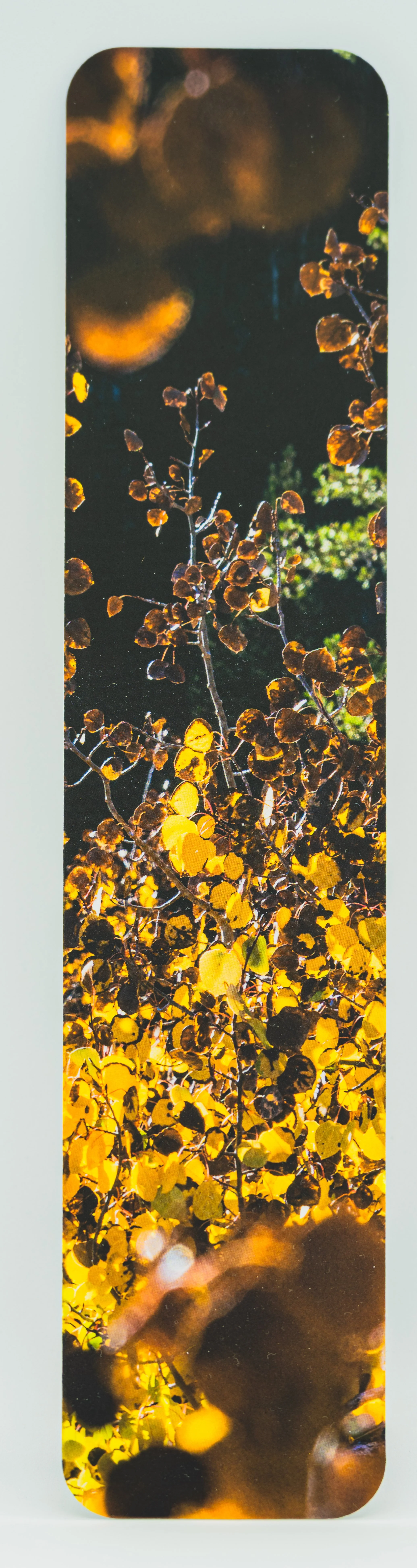 Fall Aspen Bookmark 02.jpg