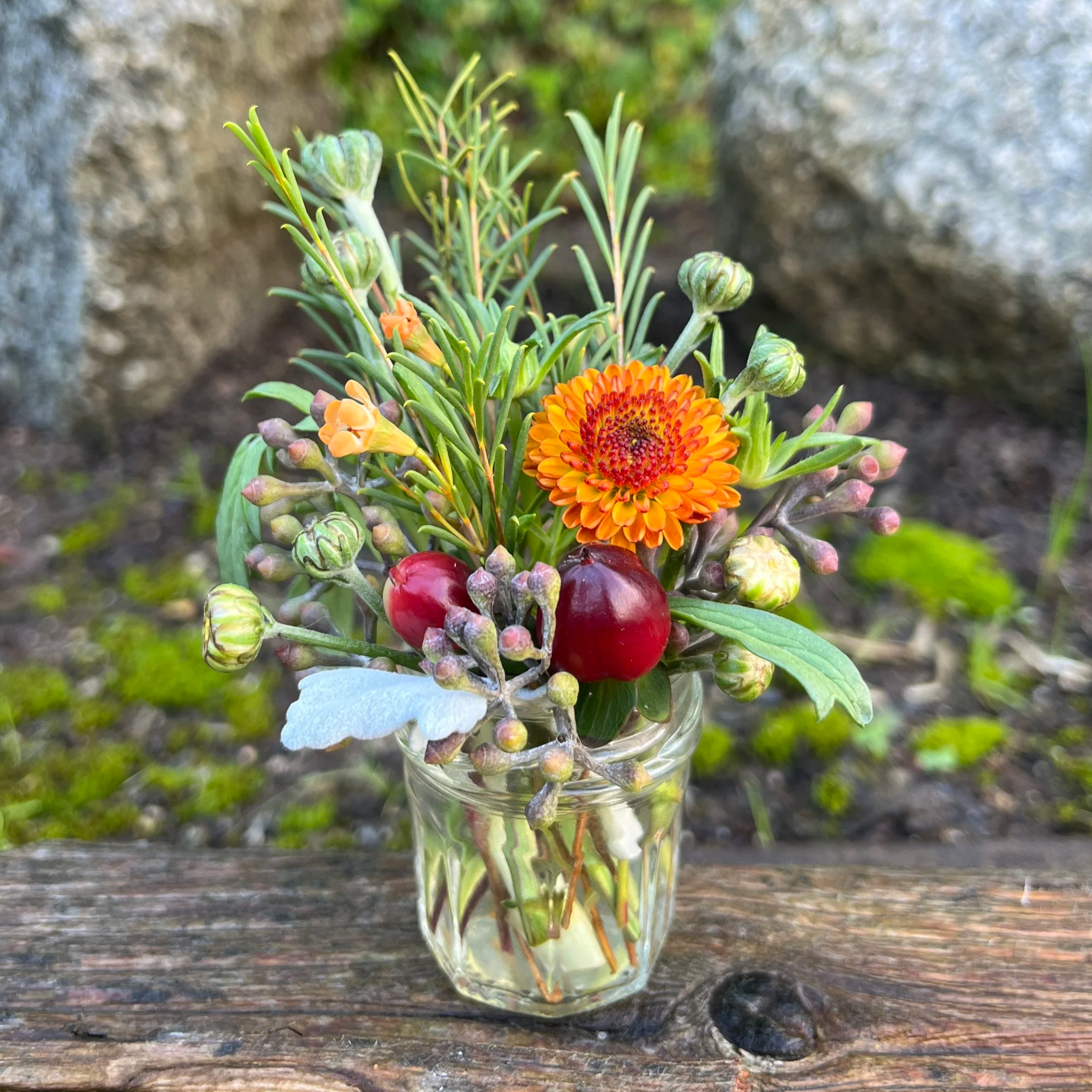 IMG_9189.png (Copy) (Copy) (Copy)