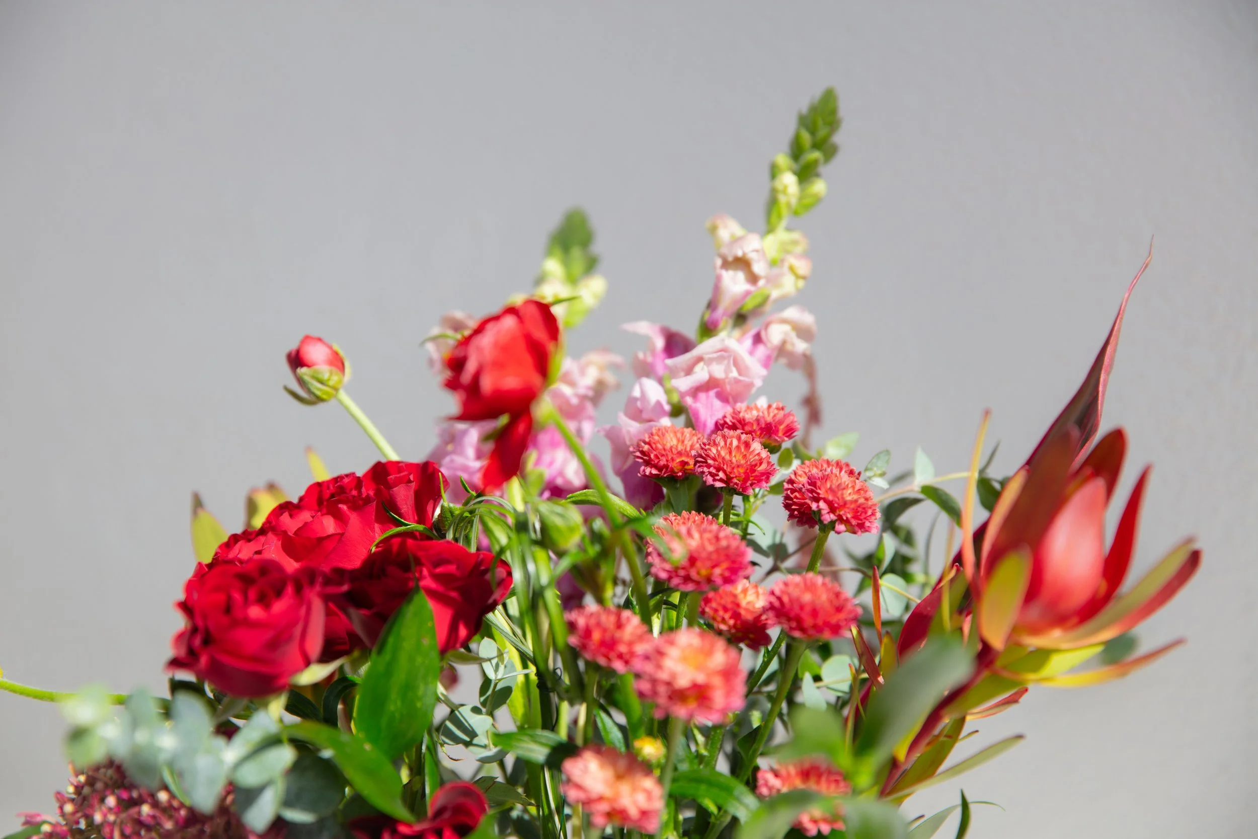 The Valentine small versions-17.jpg