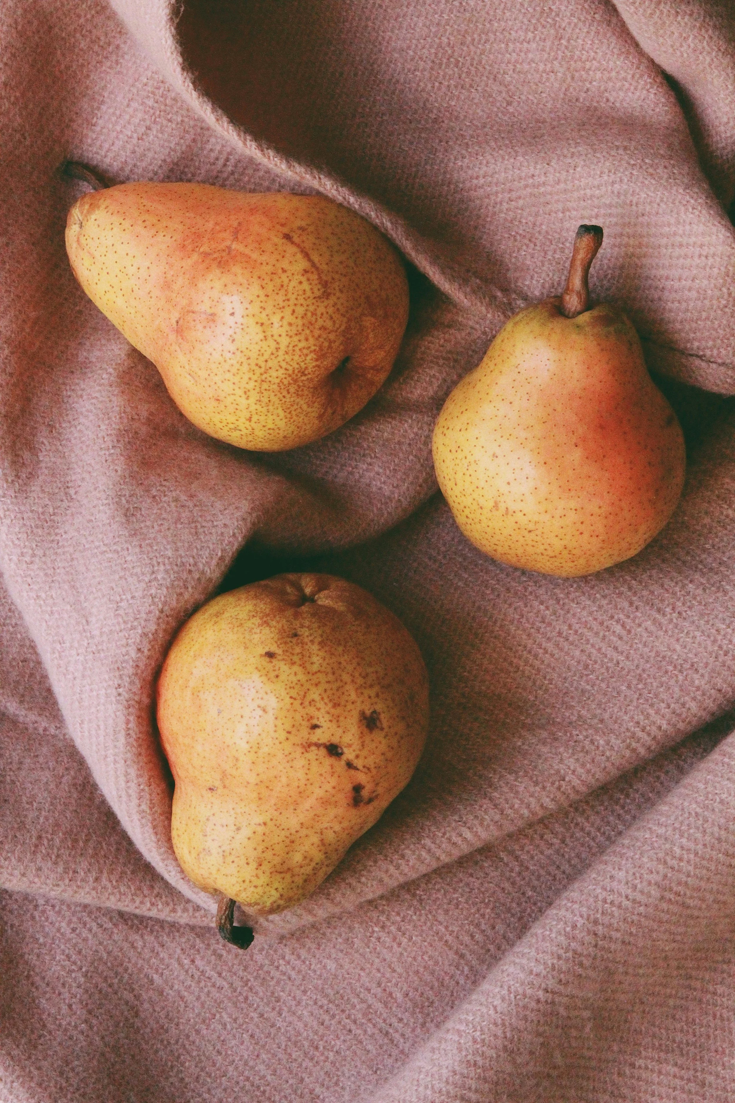 Three yellow pears with reddish speckles resting on pink fabric.