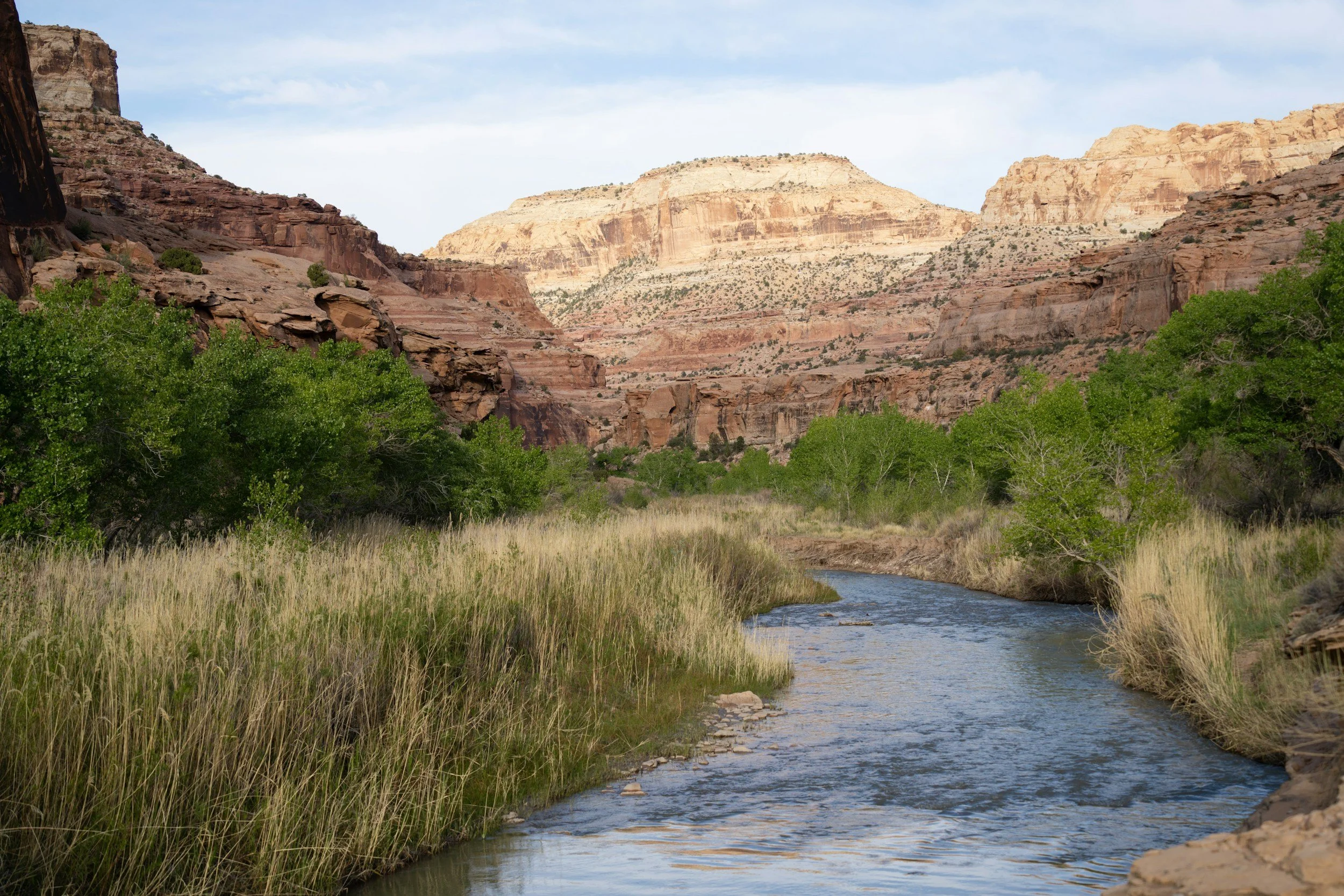 Riparian ecologic restoration and monitoring site