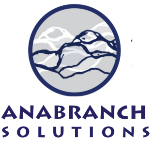 Ana Branch Solutions.png