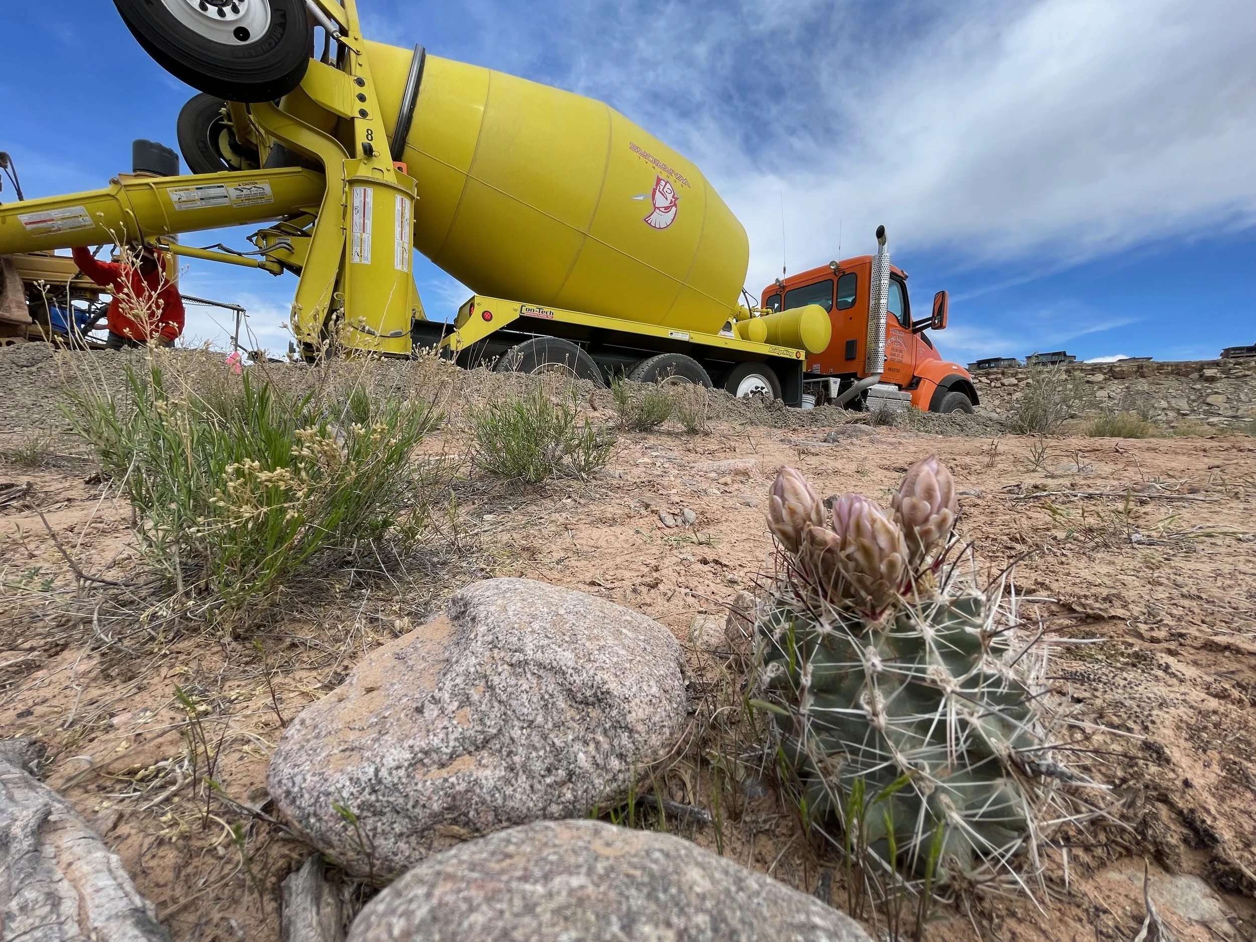 A rare plant is being protected and monitored in the intermountain west amid construction