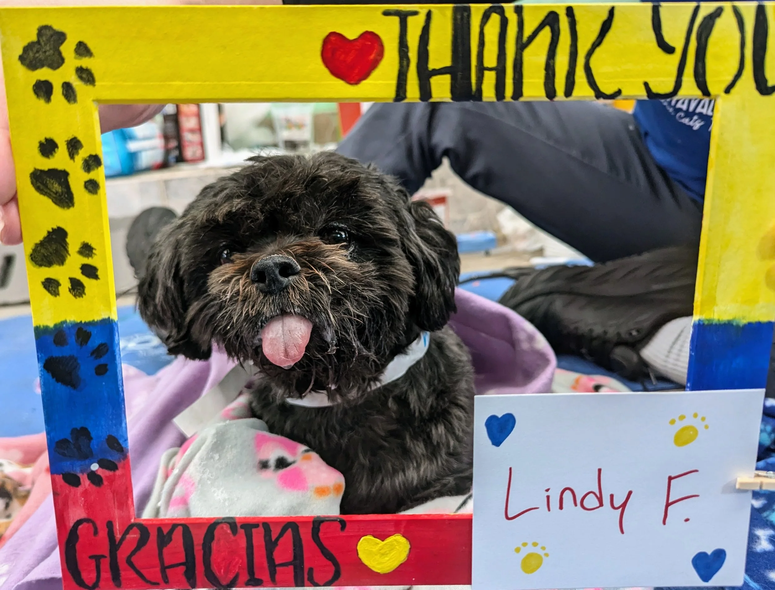 Lindy_F-Blacky.jpg