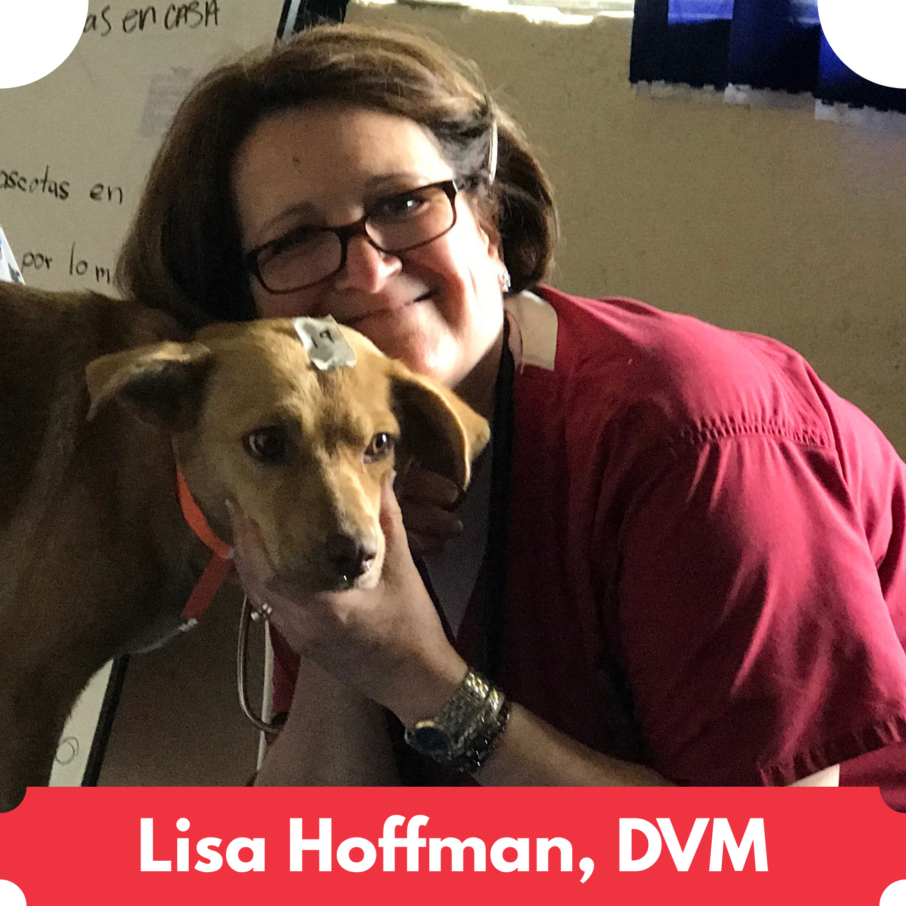 Lisa Hoffman.png