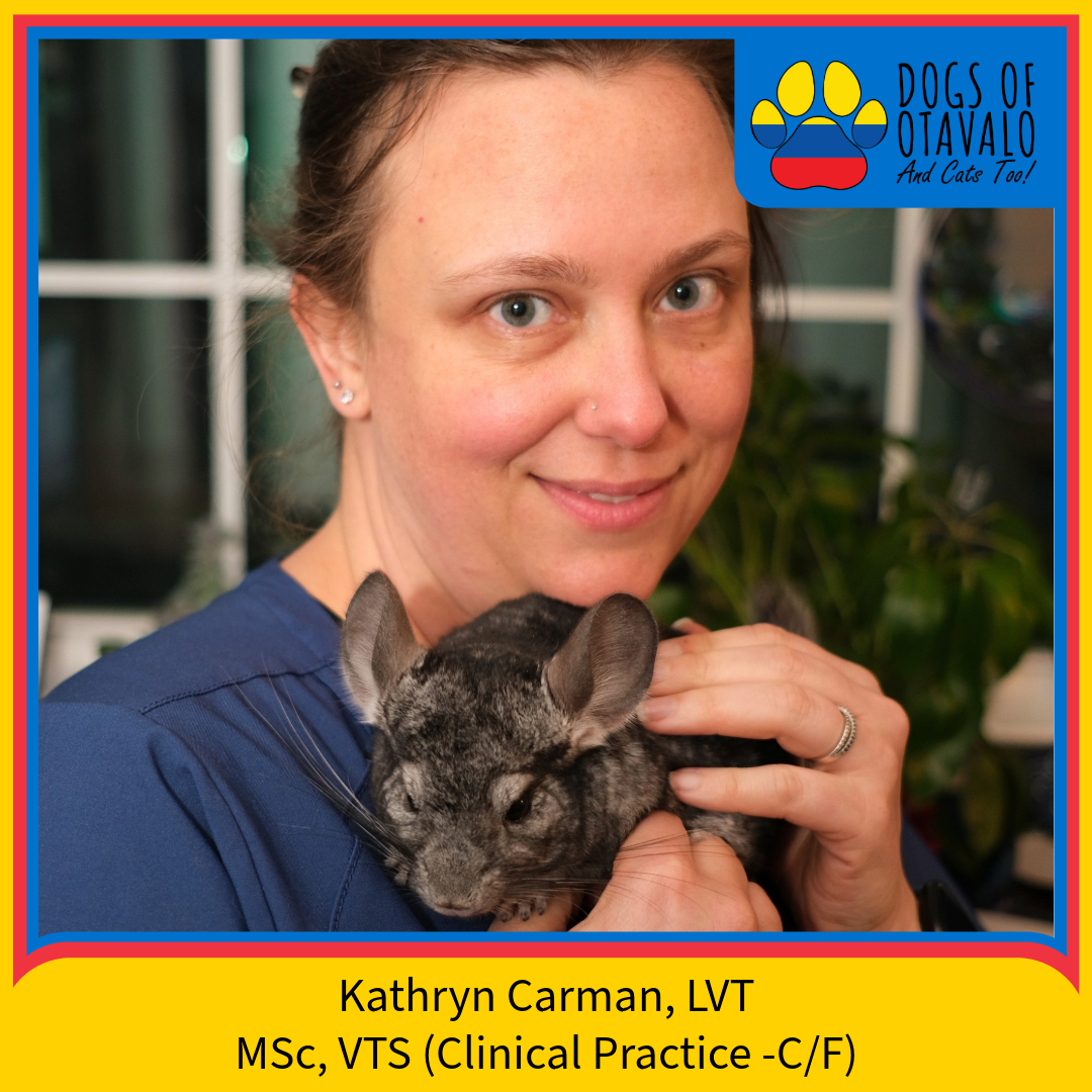 2024 Team Roster-18-Kathryn Carman.png