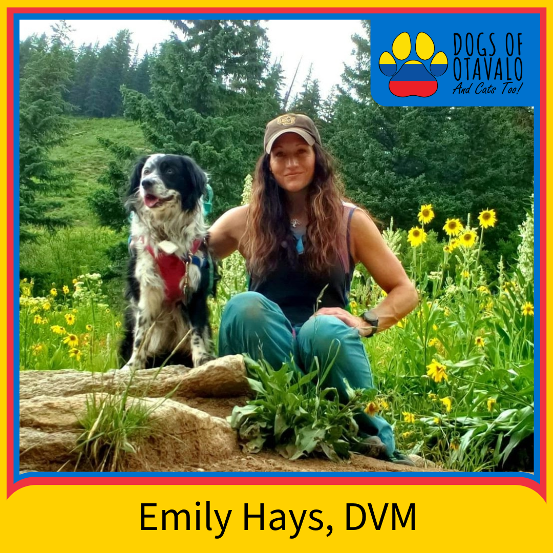 2024 Team Roster-3-Emily Hayes.png