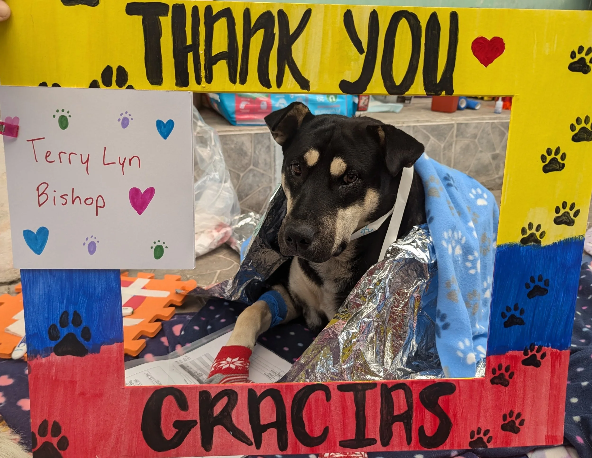 Terry_B-Negra (36).jpg