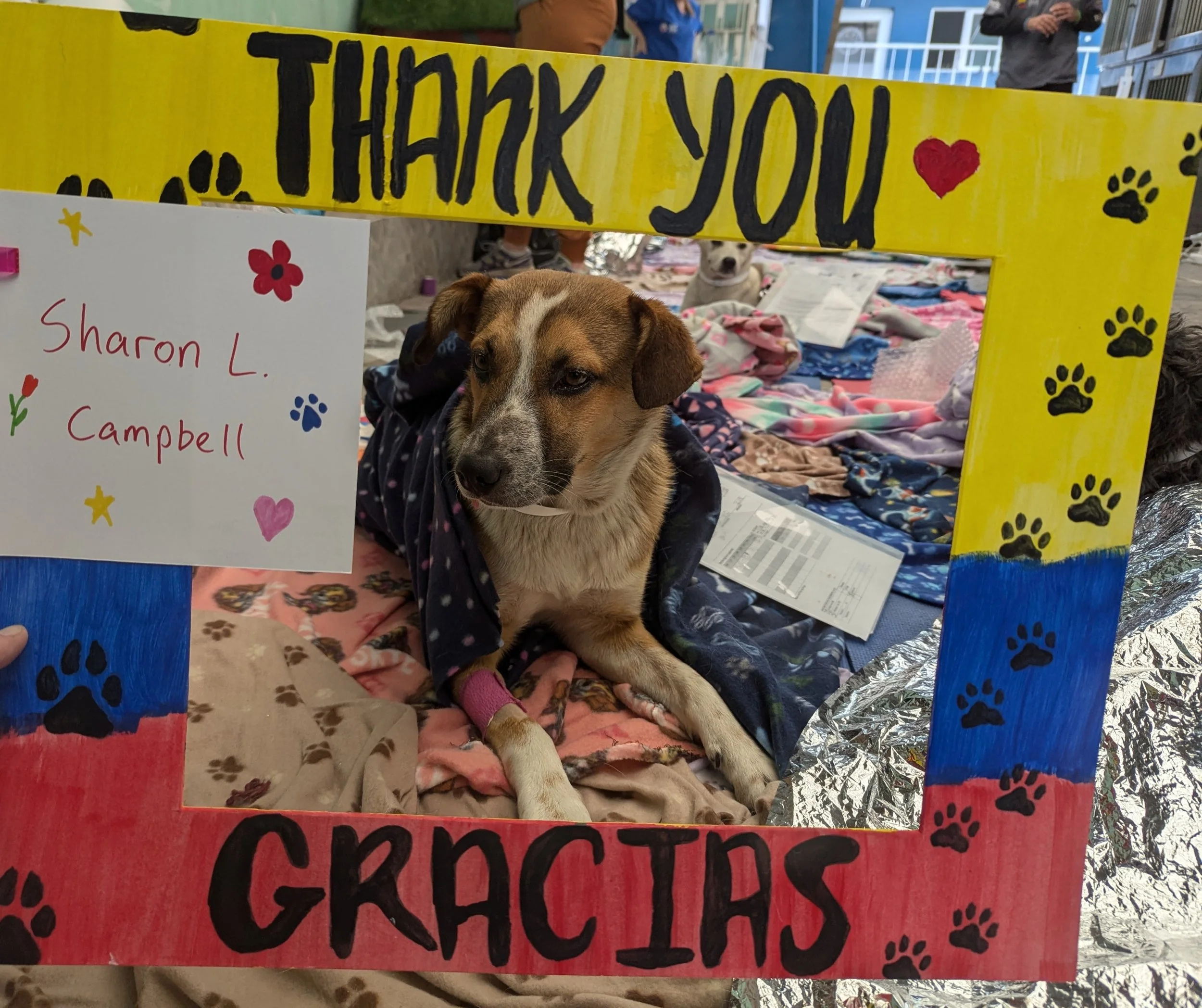 Sharon_C-Romeo (32).jpg