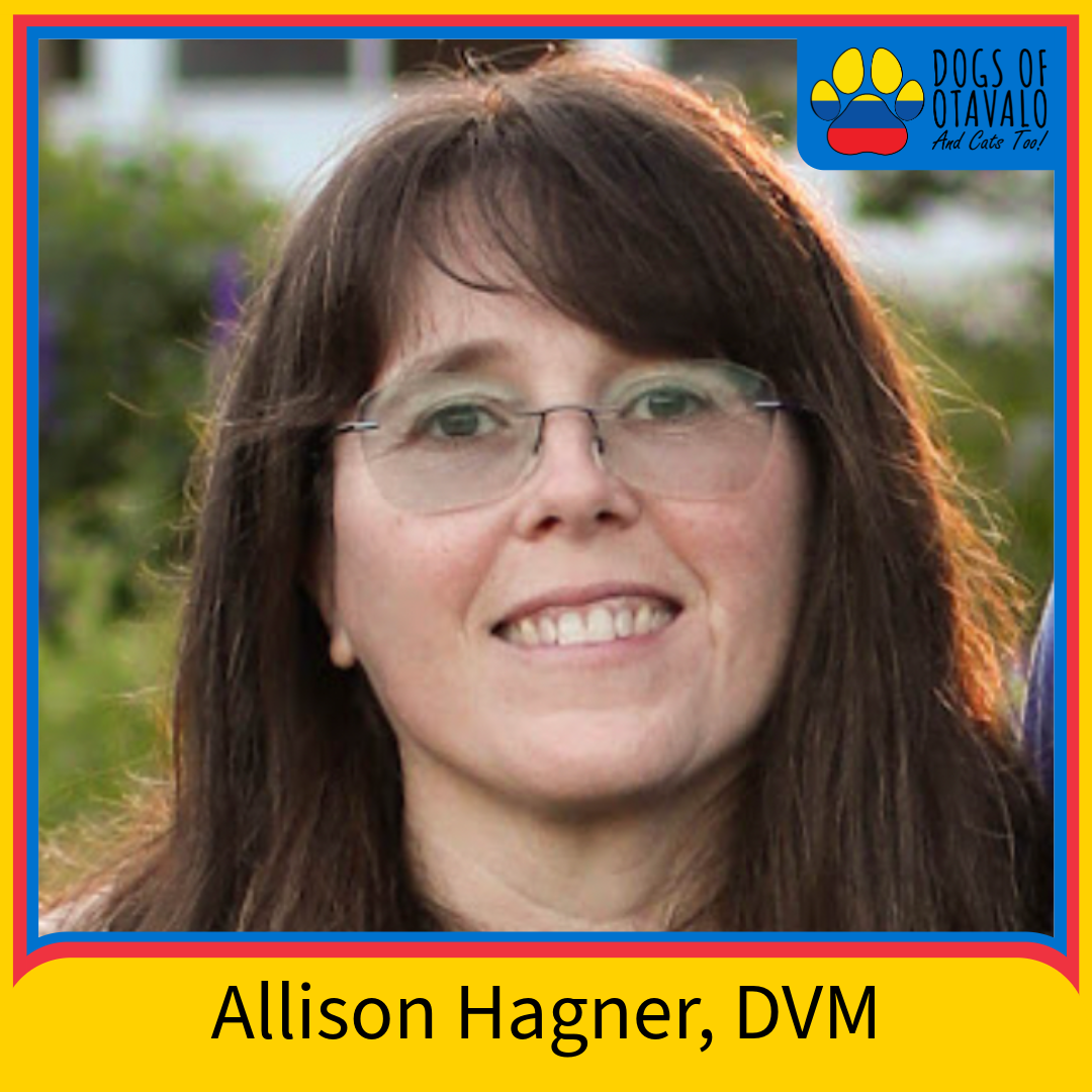 2024 Team Roster-4-Allison Hagner, DVM.png