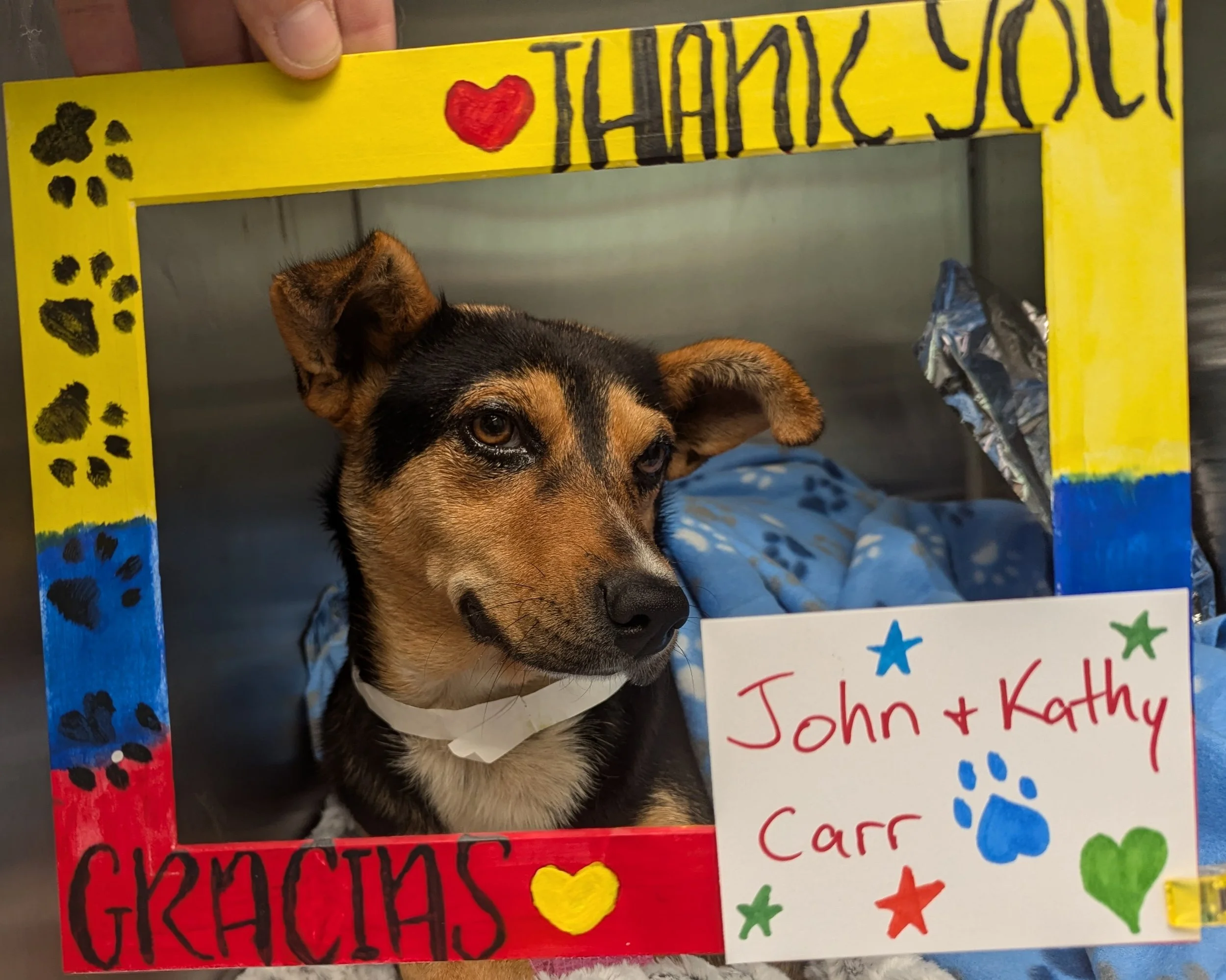 JK_Carr-Negra (12).jpg